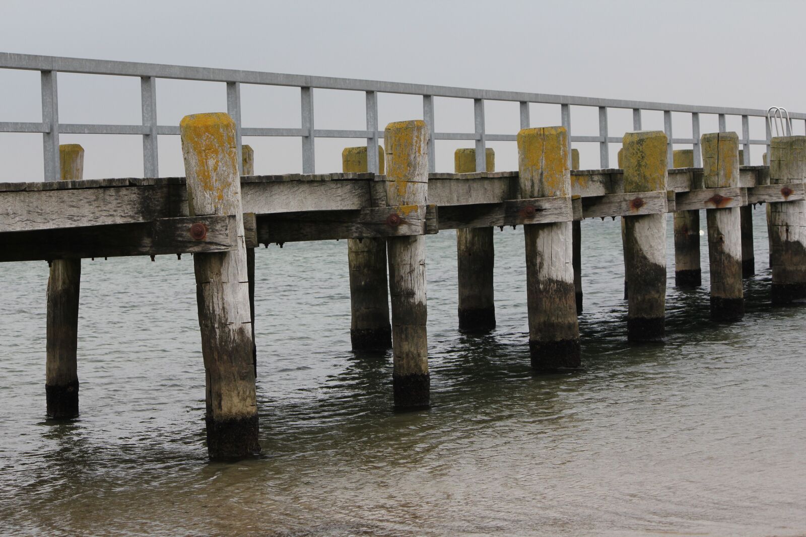 Canon EOS 550D (EOS Rebel T2i / EOS Kiss X4) sample photo. Web, water, romantic photography