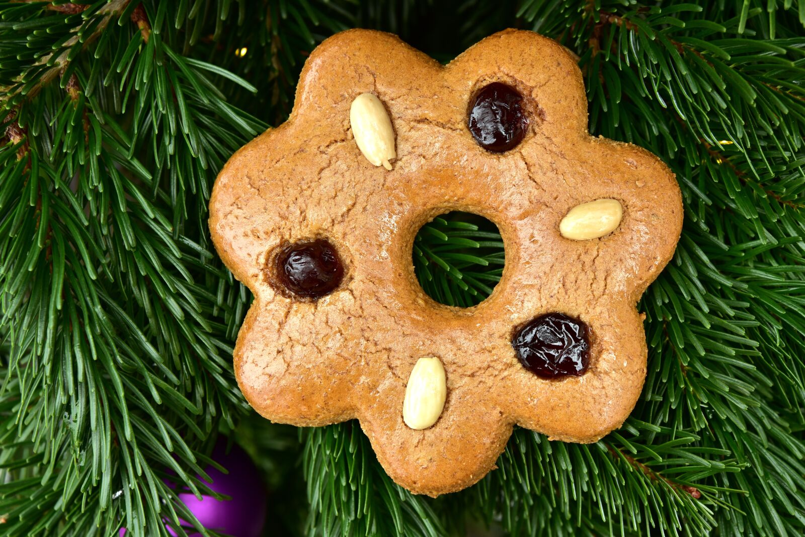 Nikon D750 sample photo. Gingerbread, christmas decorations, decorative photography