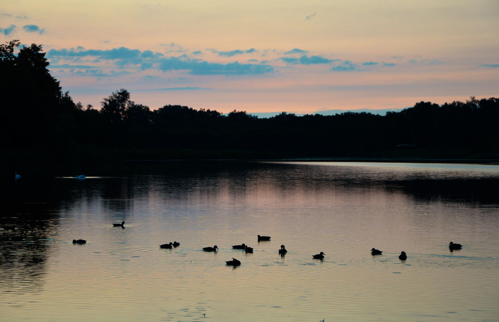 Nikon D3200 sample photo