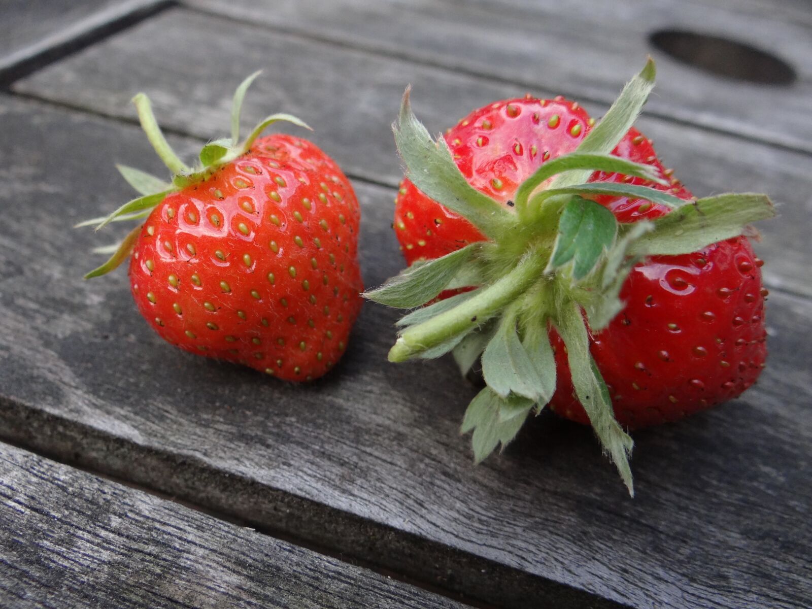 Sony Cyber-shot DSC-HX100V sample photo. Strawberry, berry, summer photography