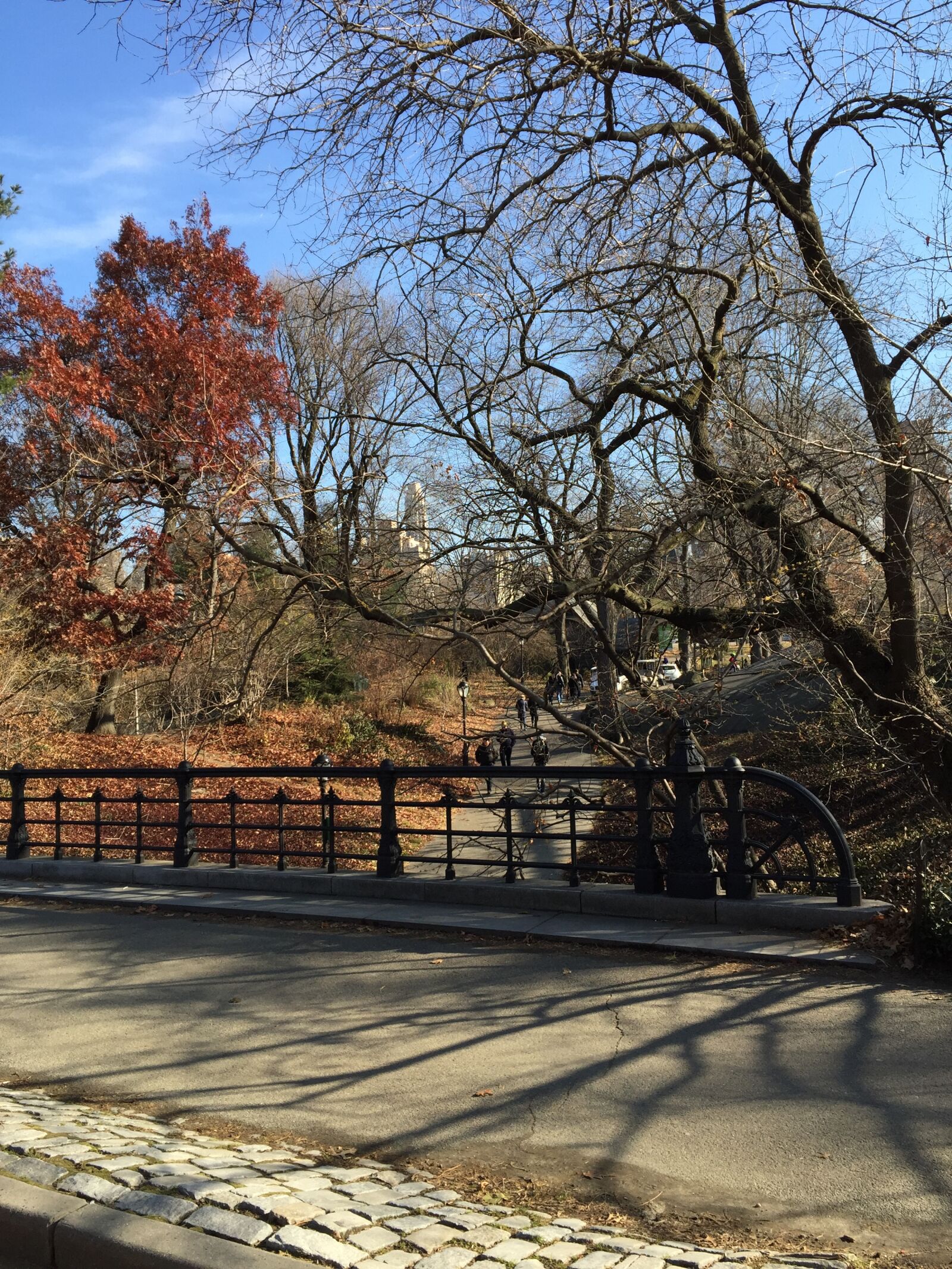 iPhone 6 Plus back camera 4.15mm f/2.2 sample photo. Autumn, central, park, fall photography
