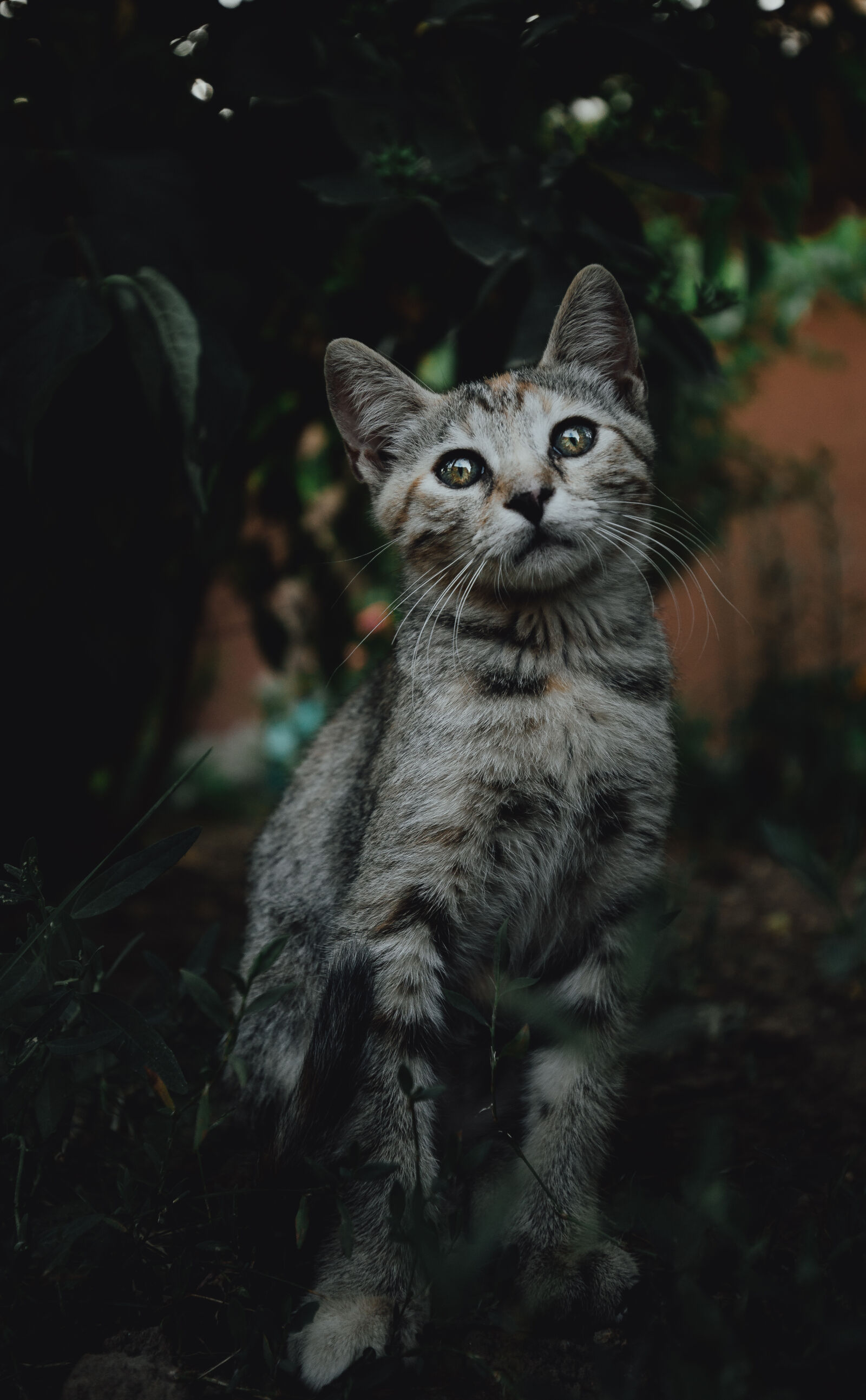 Canon EOS 6D sample photo