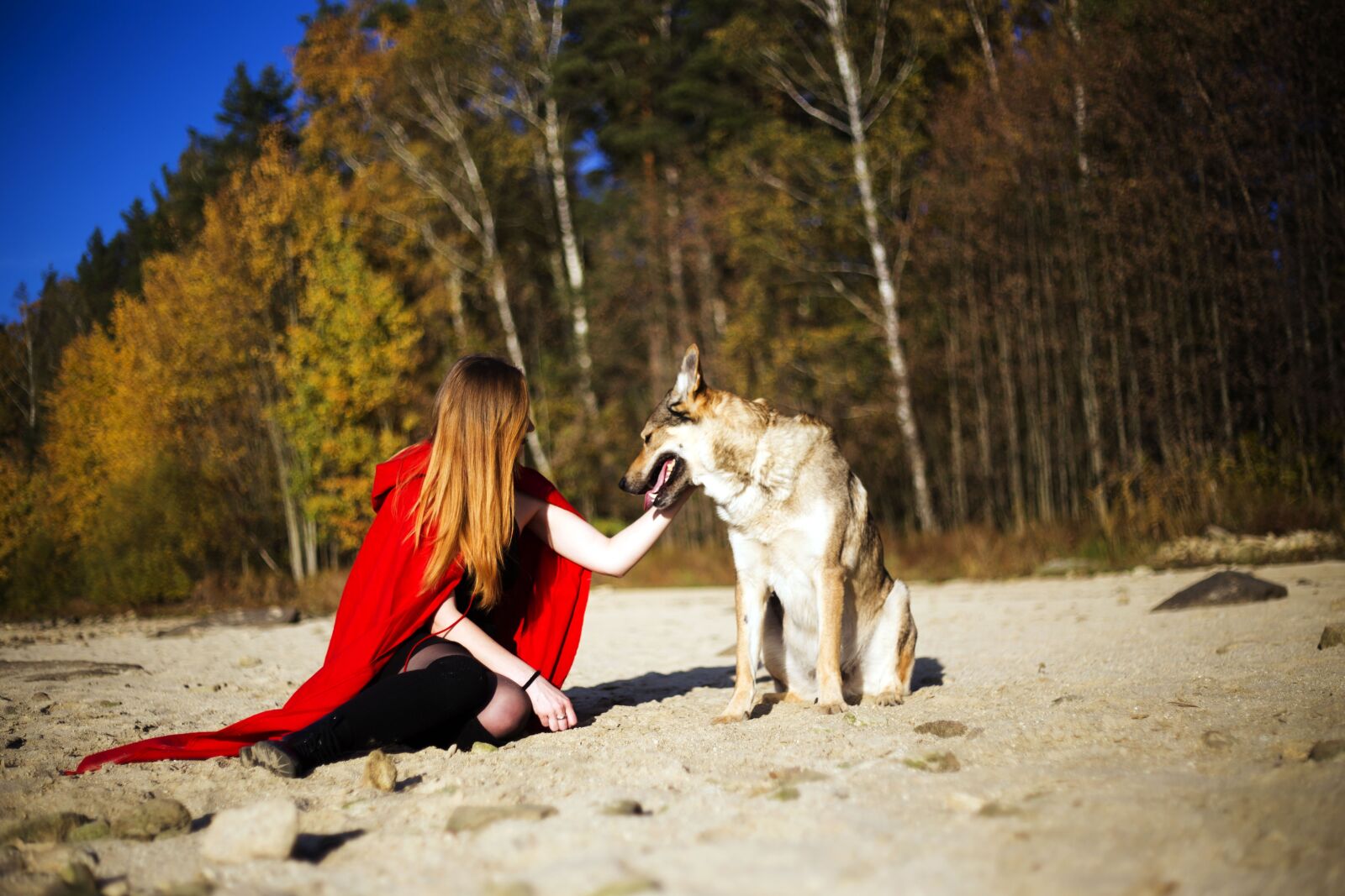 Canon EF 50mm F1.8 II sample photo. Friendship, dog photography