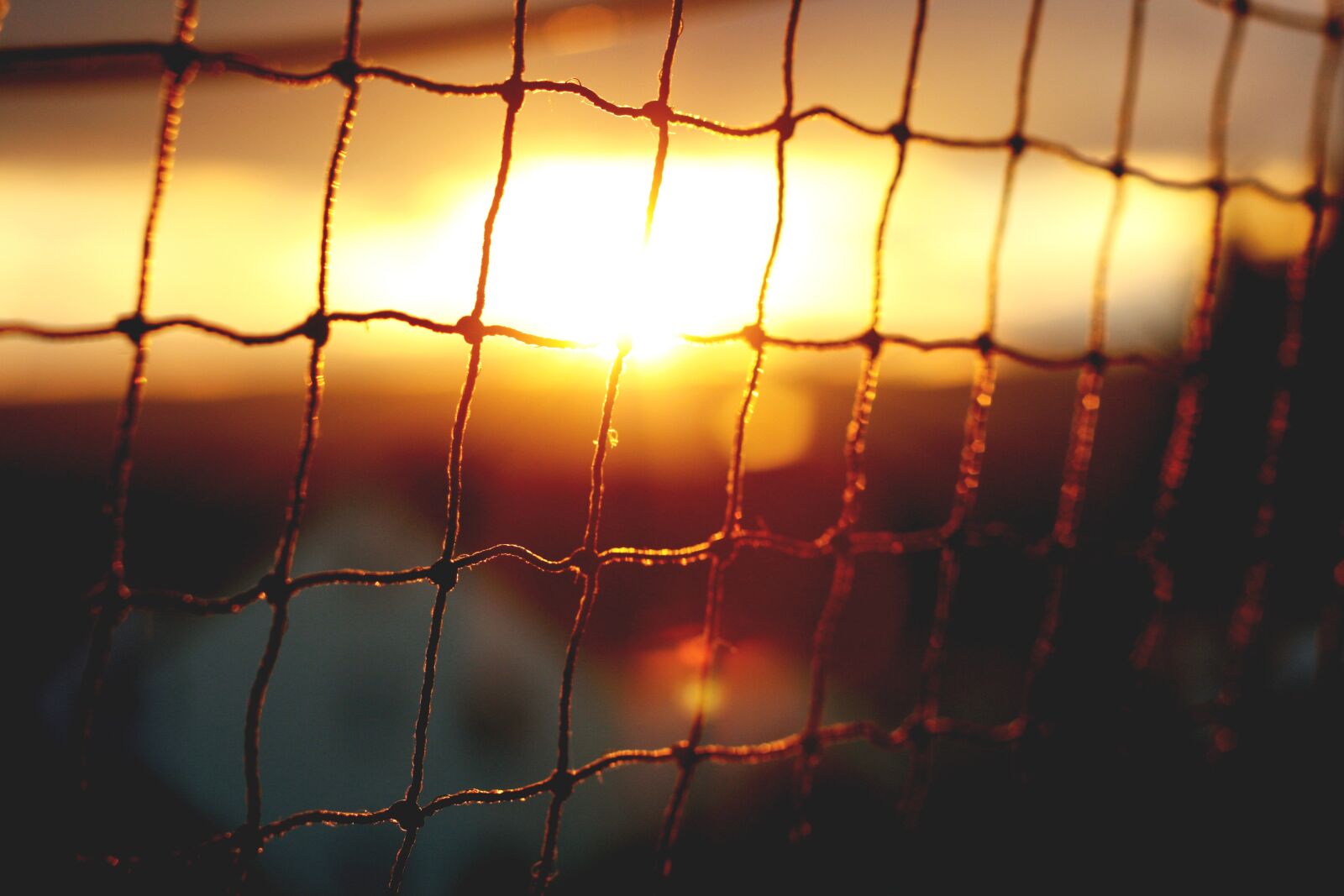 Canon EOS 1000D (EOS Digital Rebel XS / EOS Kiss F) sample photo. Nature, sunset, light photography