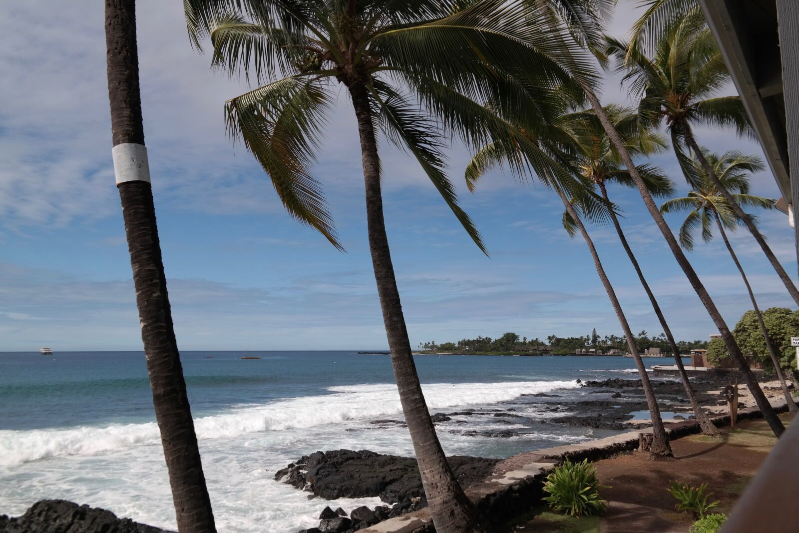 Samsung NX300 sample photo. Palm trees, sea, beach photography