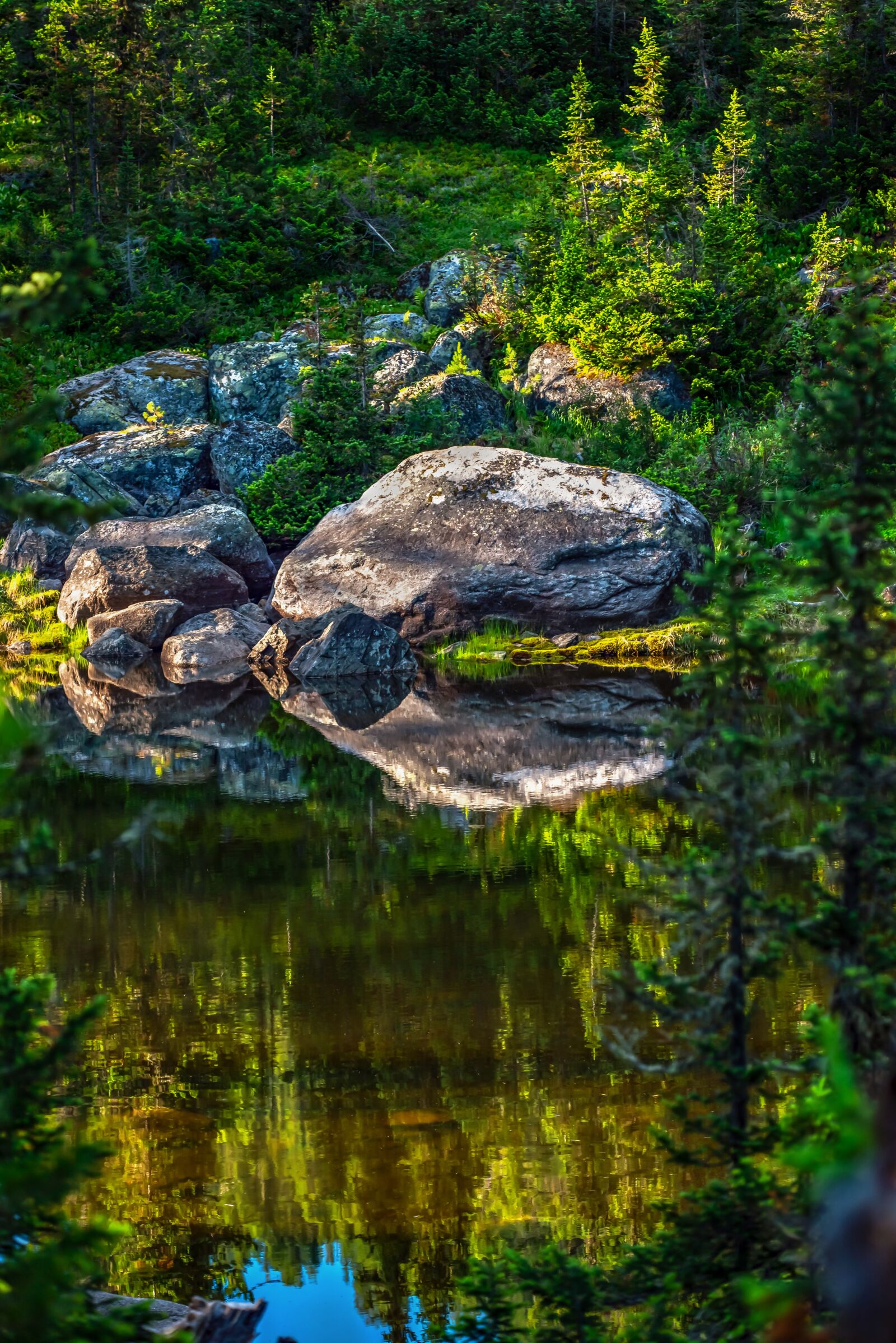 Nikon D800 sample photo. Big stone at green photography