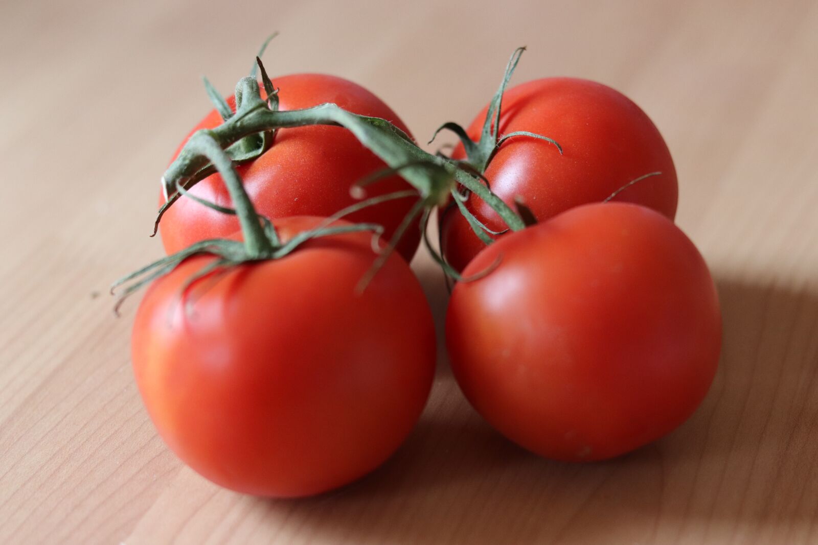 Canon EOS 77D (EOS 9000D / EOS 770D) + Canon EF 50mm F1.8 STM sample photo. Power, tomatoes, vegetables photography