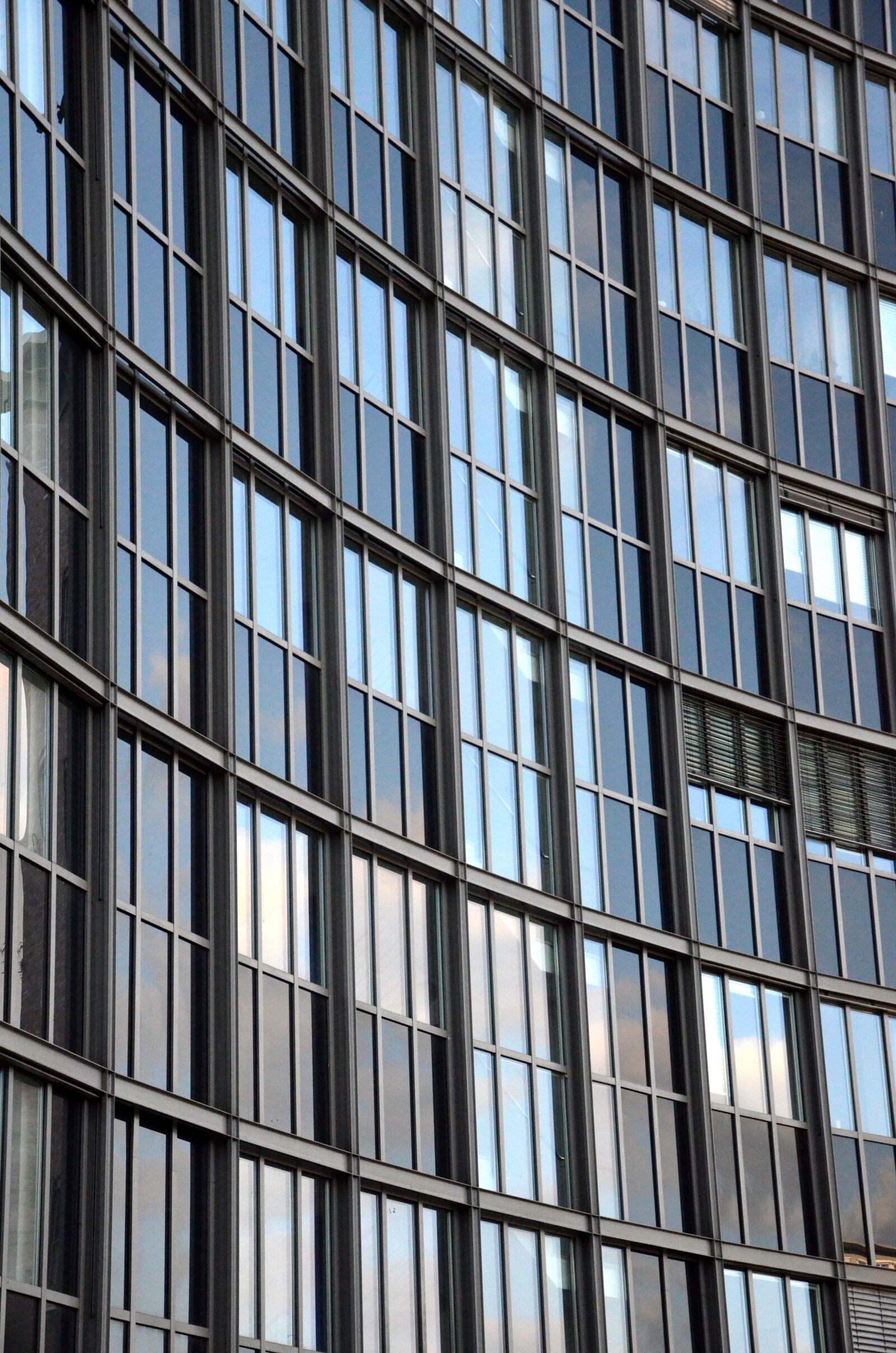 Nikon D5100 sample photo. Facade, window facade, window photography