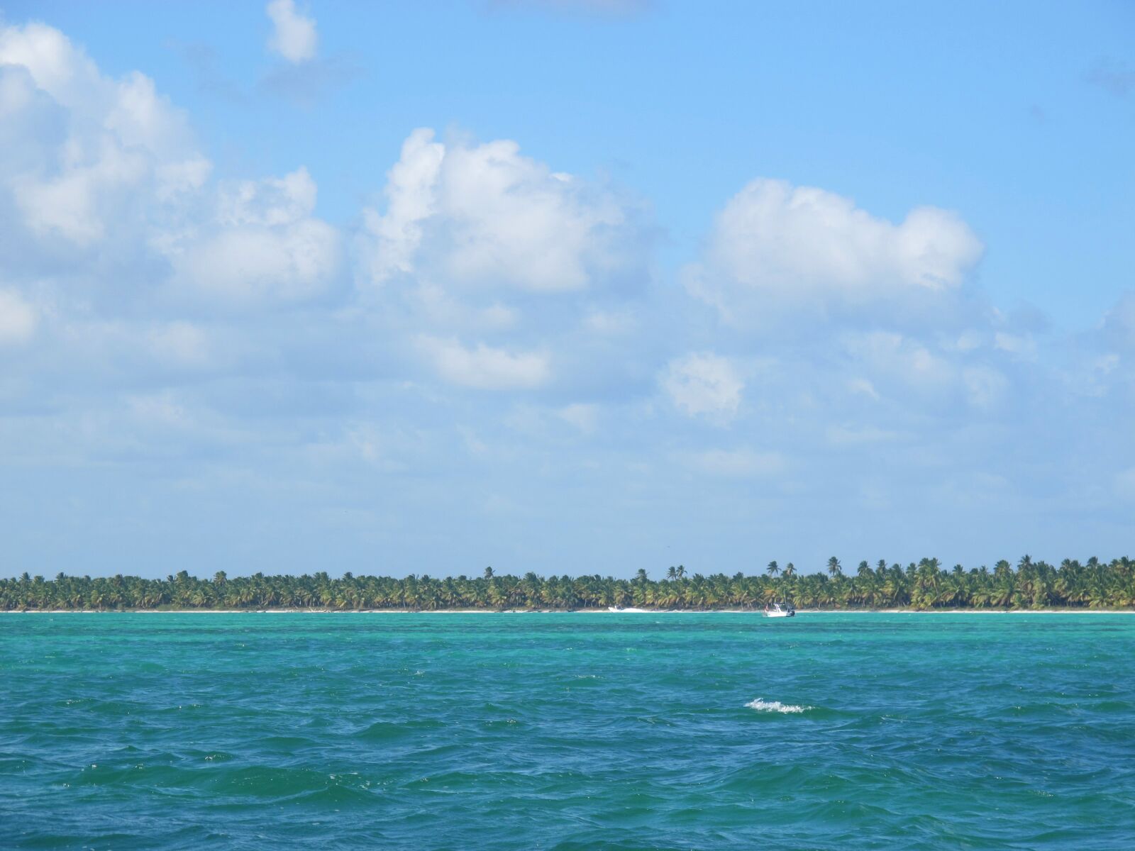 Canon PowerShot G12 sample photo. Ocean, palms, tropical photography