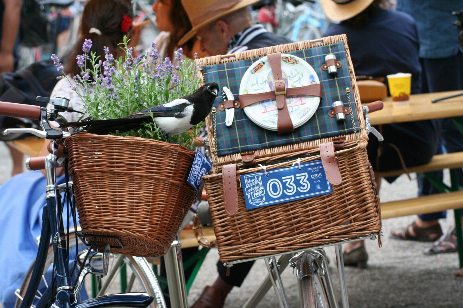 Canon EOS 350D (EOS Digital Rebel XT / EOS Kiss Digital N) sample photo. Basket, elster, bike photography