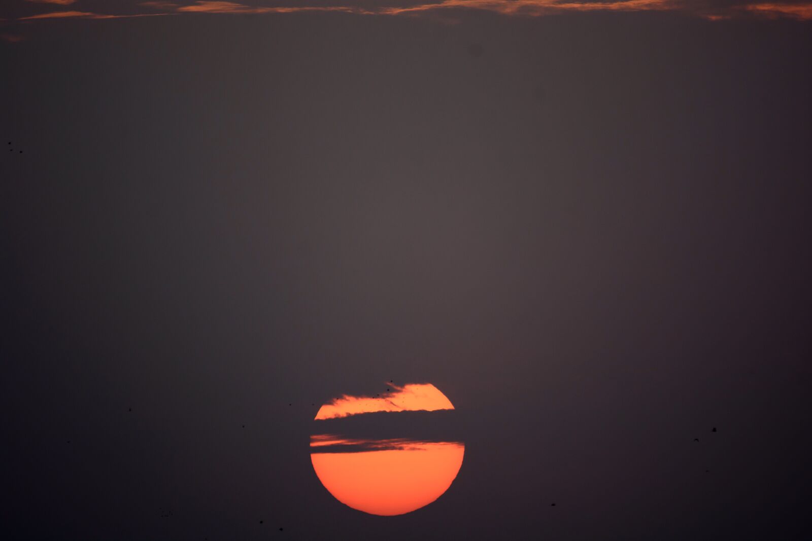Nikon D7200 sample photo. Sun, dawn, nature photography