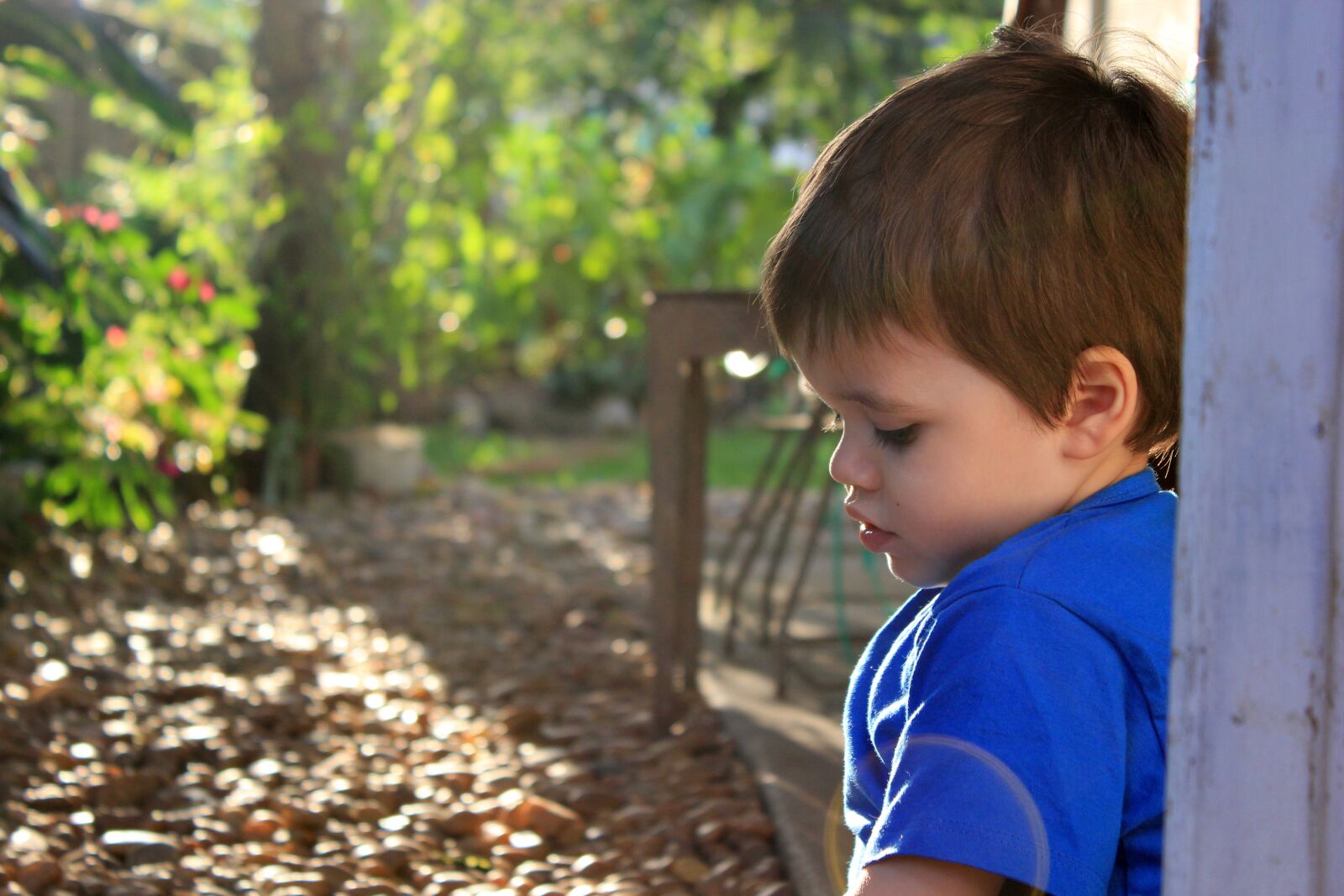 Canon EOS 550D (EOS Rebel T2i / EOS Kiss X4) sample photo. Garden, eventide, child photography