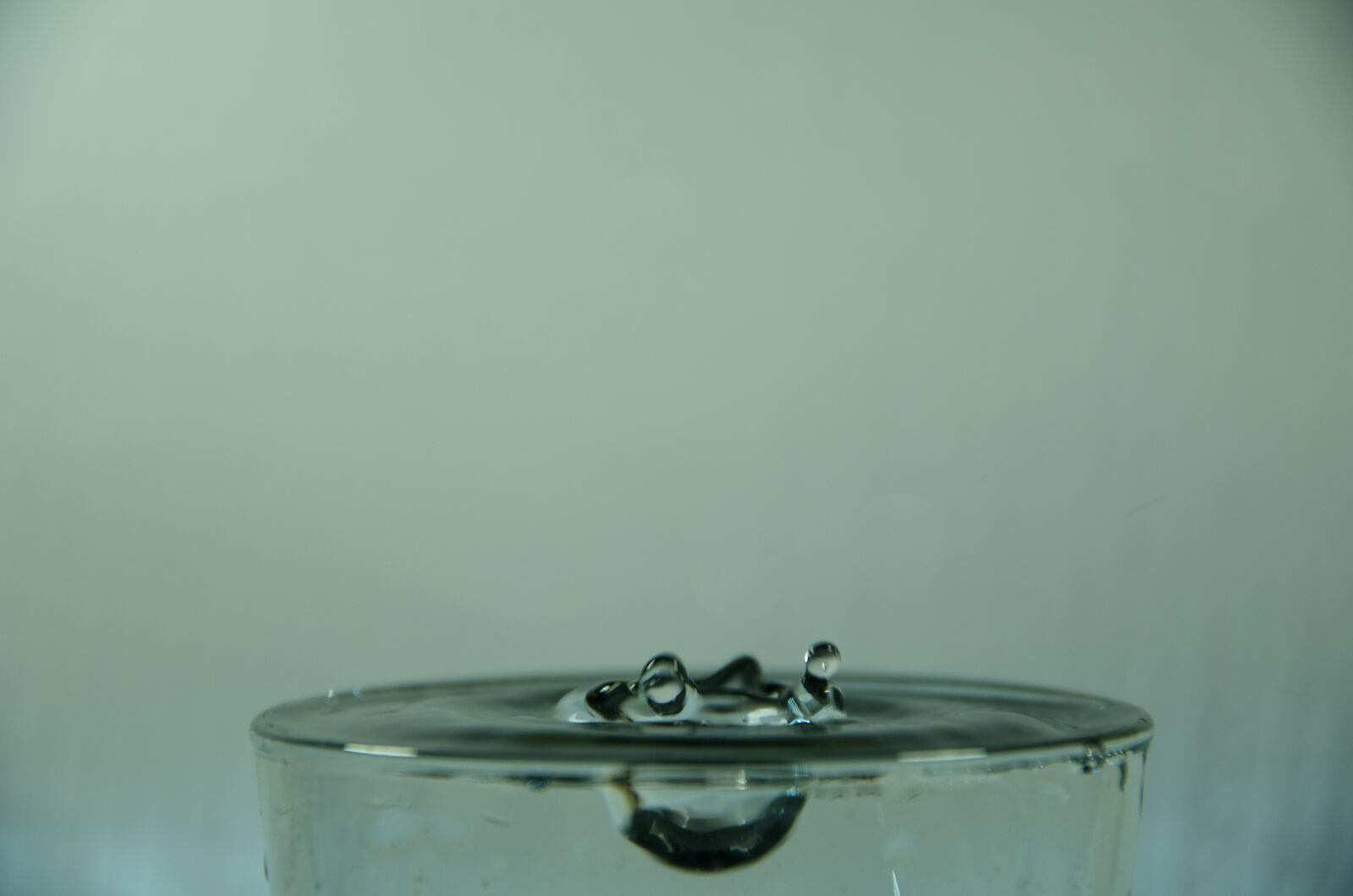 Nikon D5100 sample photo