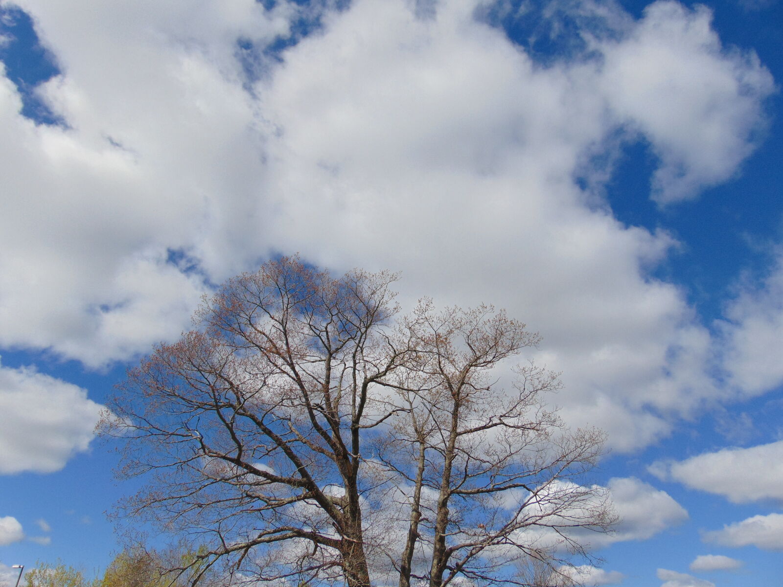 Sony Cyber-shot DSC-H300 sample photo. Blue, clouds, maine, nature photography