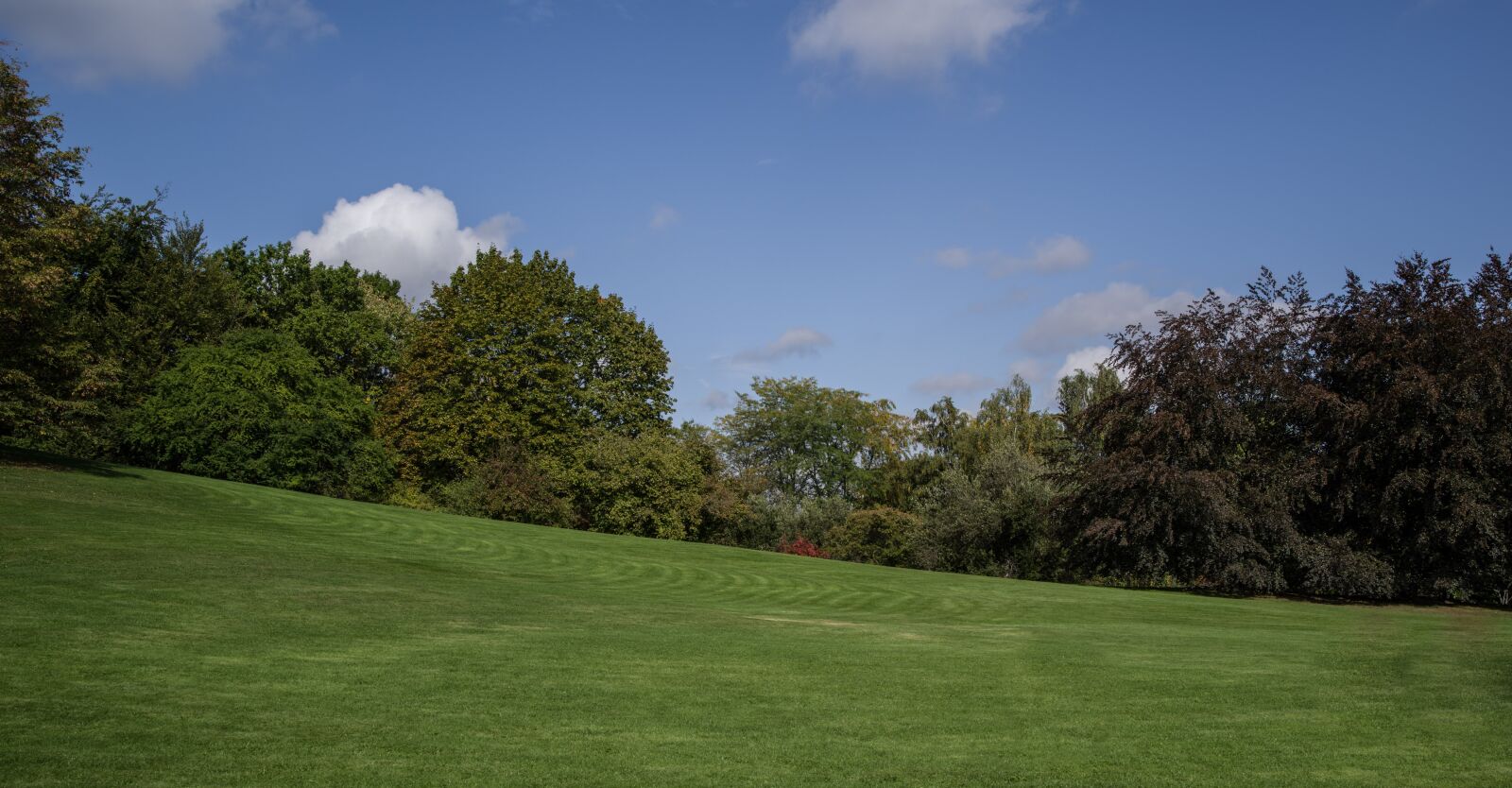 Pentax K-1 Mark II sample photo. Landscape, nature, sky photography