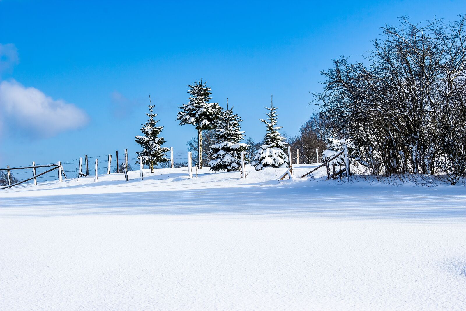 Canon EOS 650D (EOS Rebel T4i / EOS Kiss X6i) sample photo. Snow, winter, wintry photography
