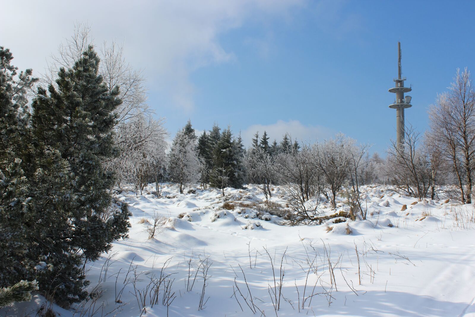 Canon EOS 1200D (EOS Rebel T5 / EOS Kiss X70 / EOS Hi) sample photo. Winter, snow, altenberg photography