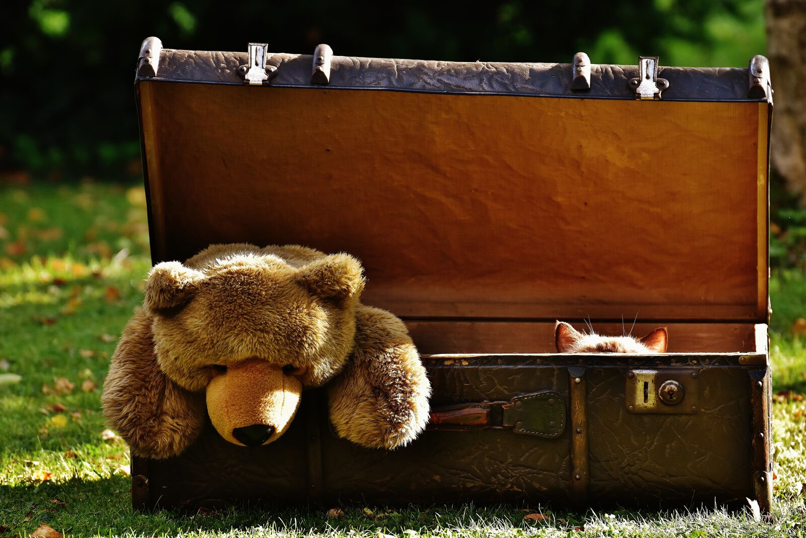 Nikon D7200 sample photo. Luggage, antique, teddy photography