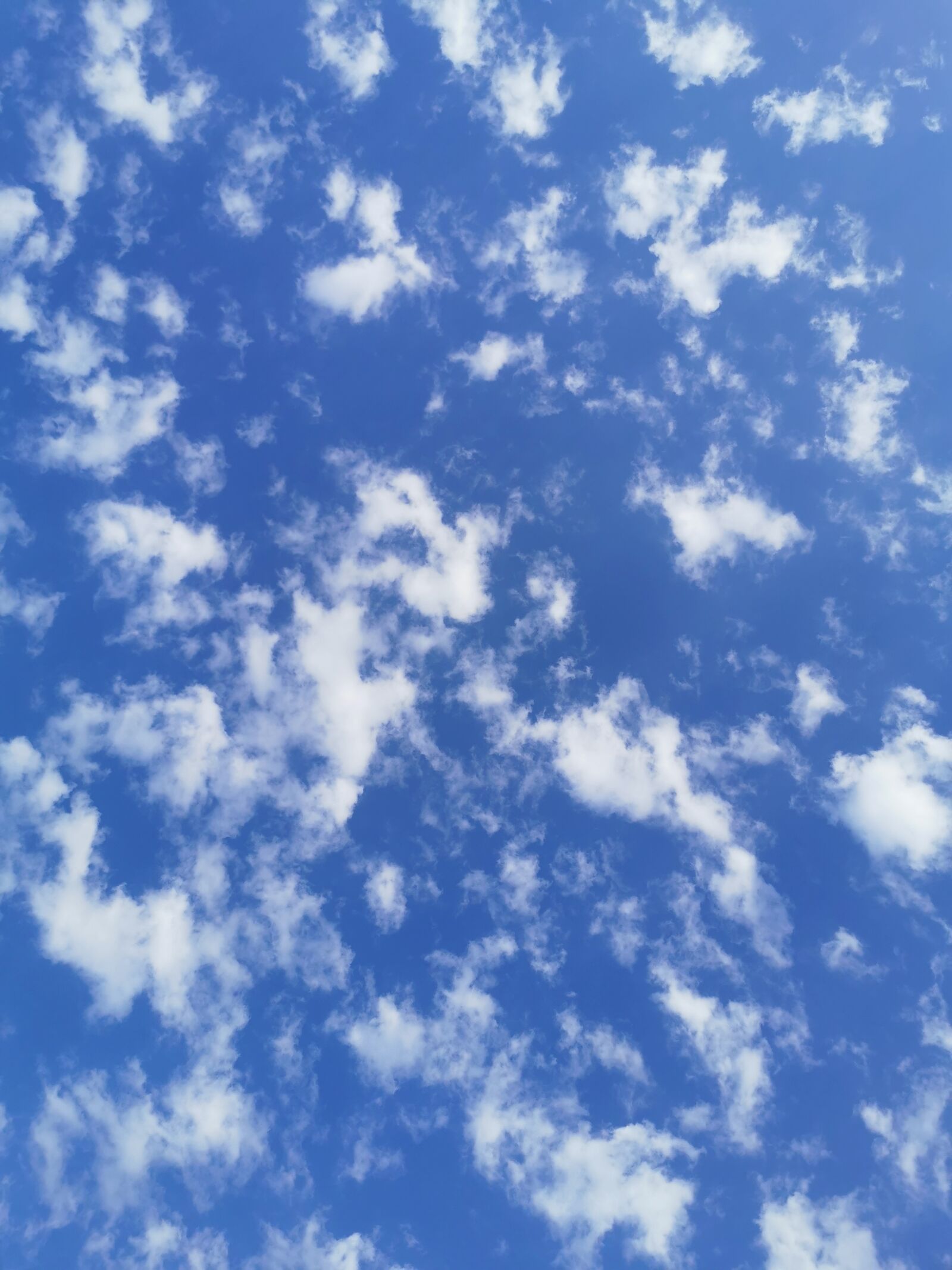 HUAWEI P30 Pro sample photo. Sky, blue, clouds photography