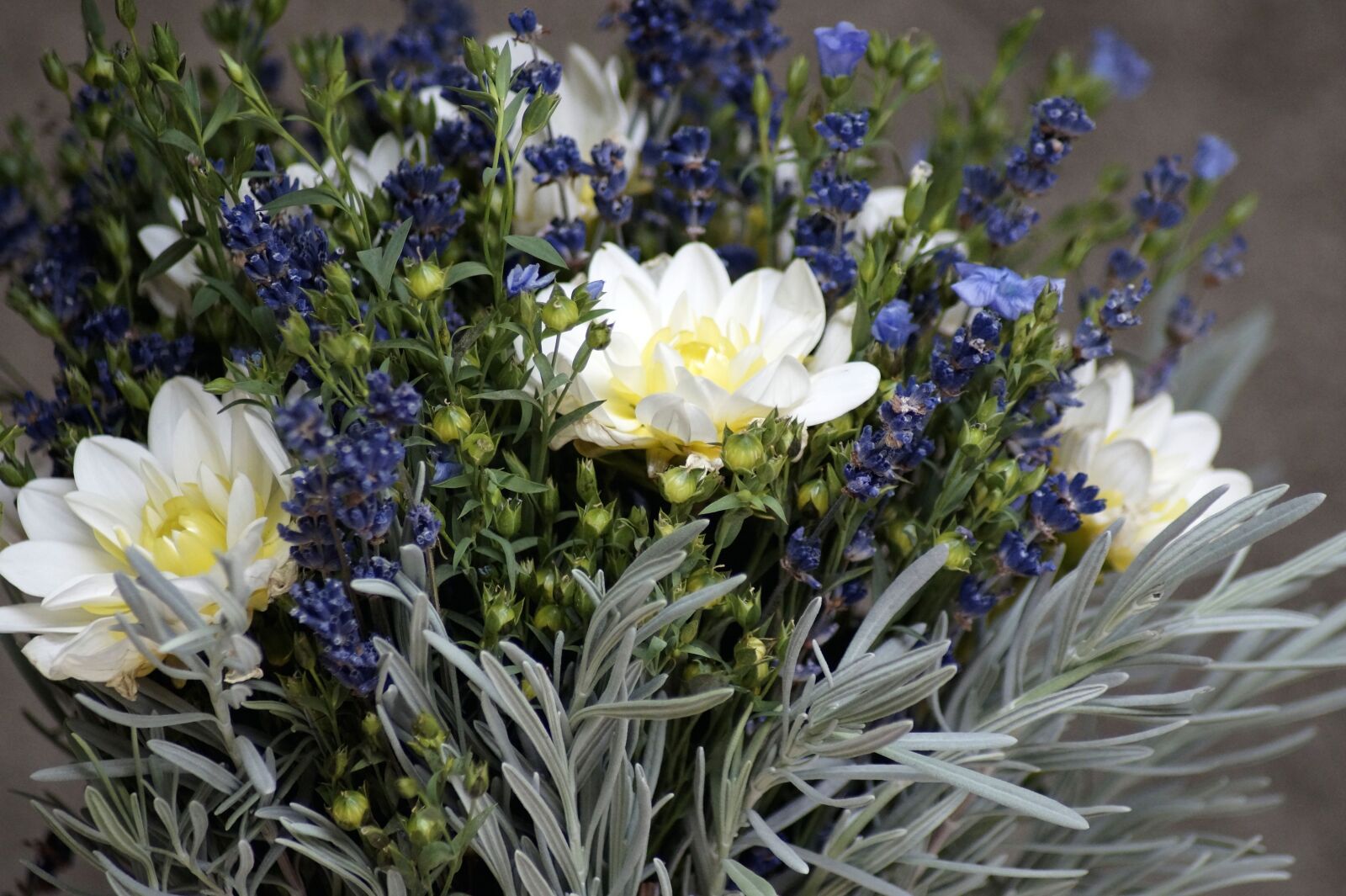 Sony SLT-A58 sample photo. Lavender, lein, bouquet photography