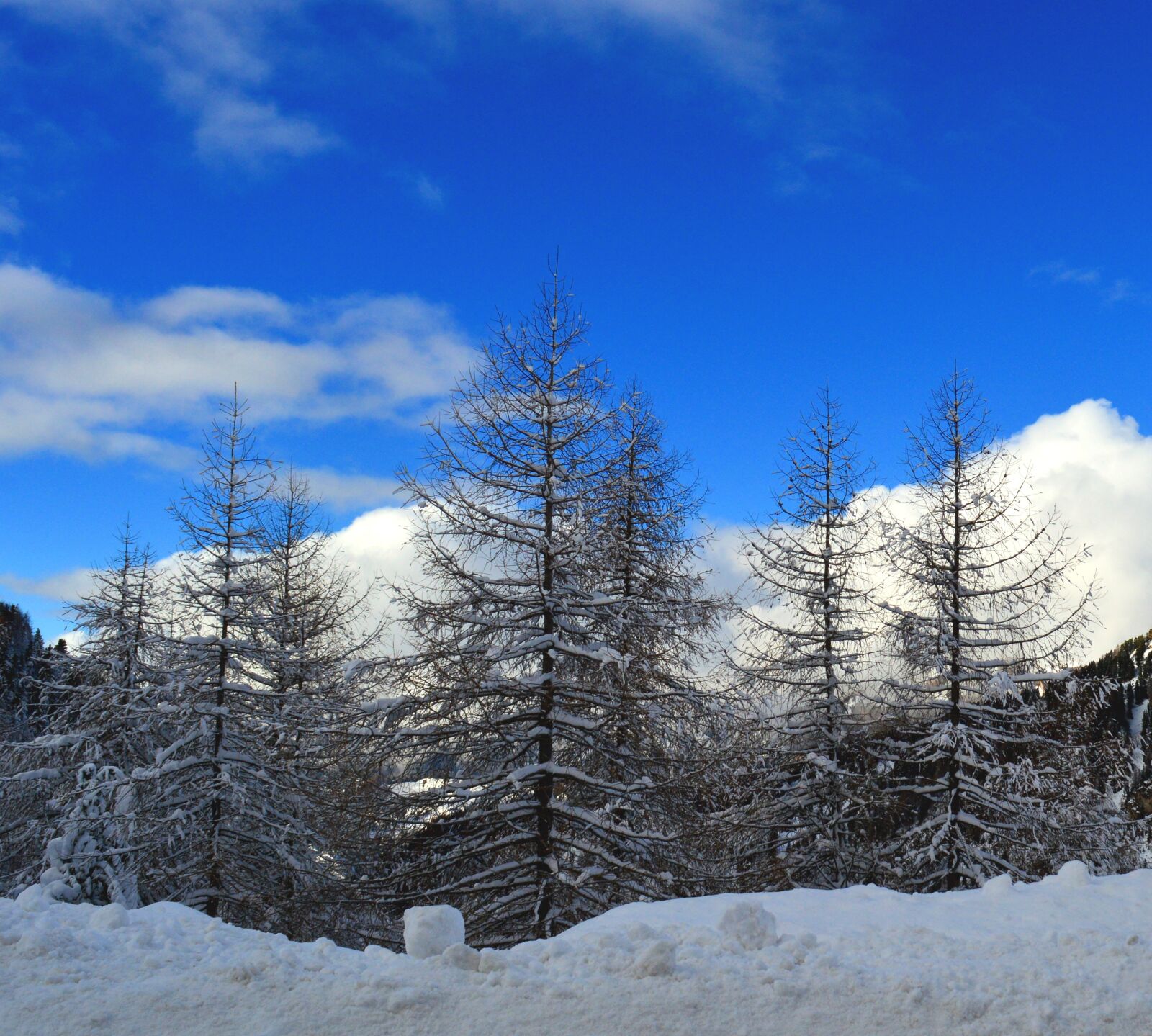 Nikon D3200 sample photo. Winter, snow, wintry photography