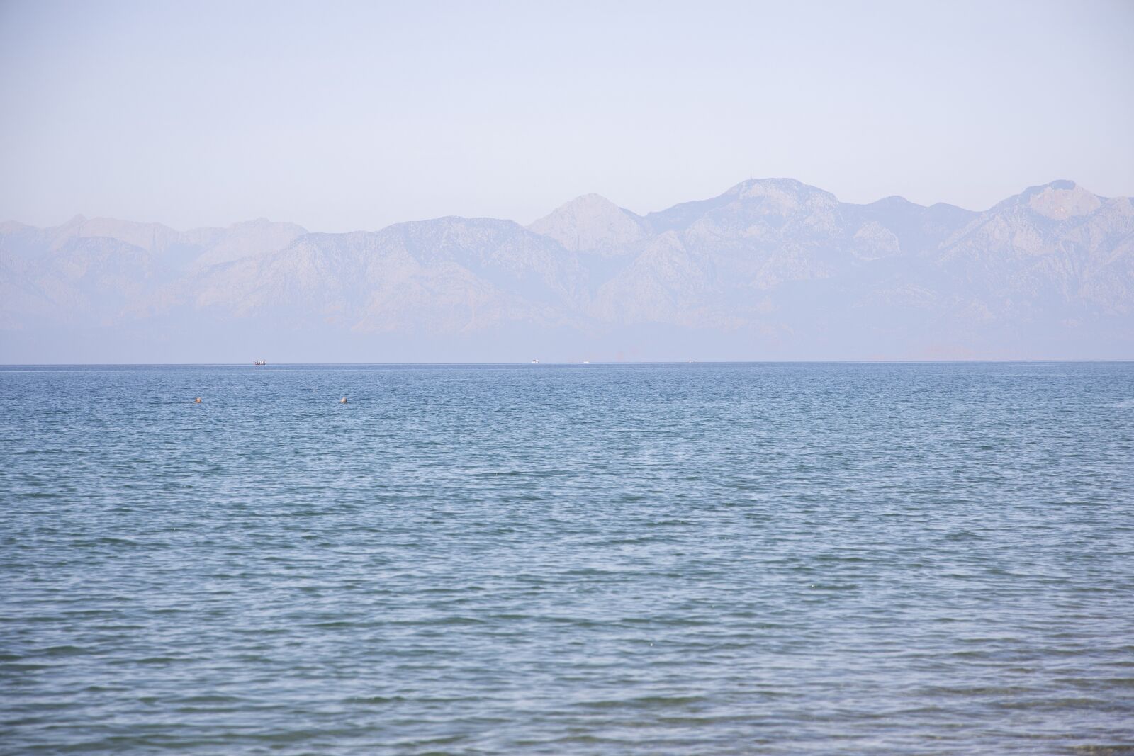 Canon RF 24-105mm F4L IS USM sample photo. Marine, beach, background photography