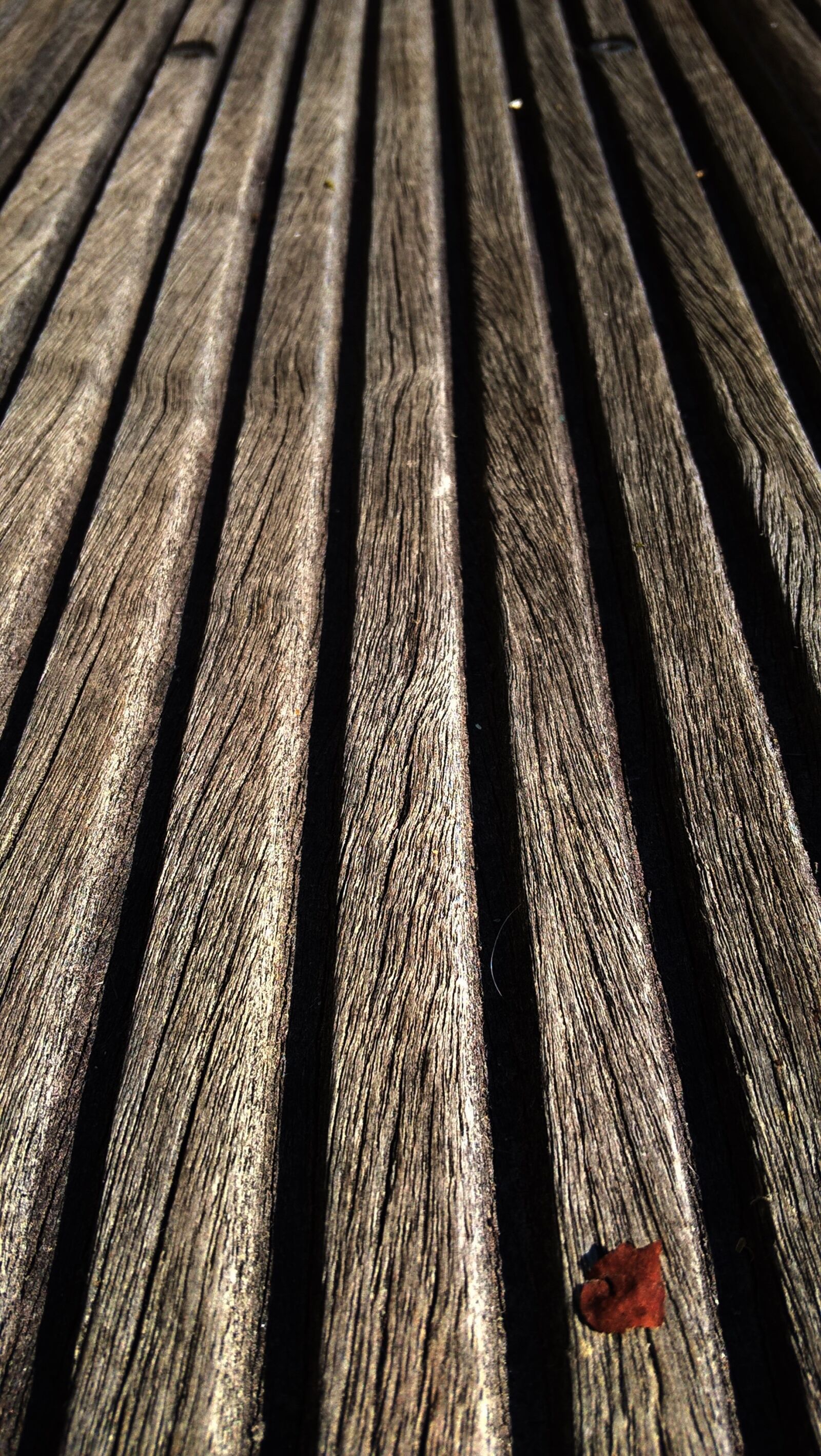 Microsoft Lumia 640 LTE Dual SIM sample photo. Wood, terrace, garden photography