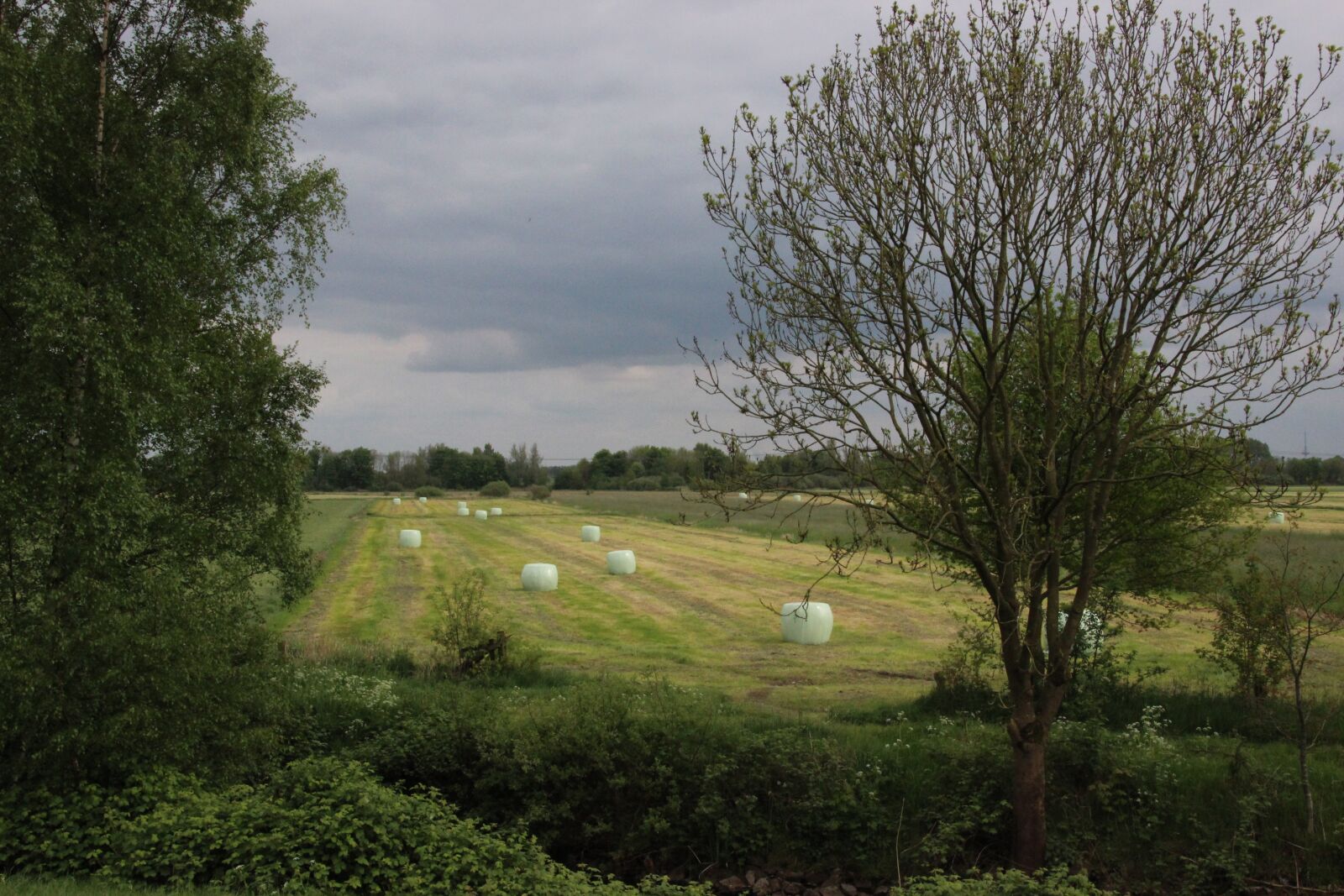 Canon EOS 600D (Rebel EOS T3i / EOS Kiss X5) sample photo. Landscape, hay bales, nature photography