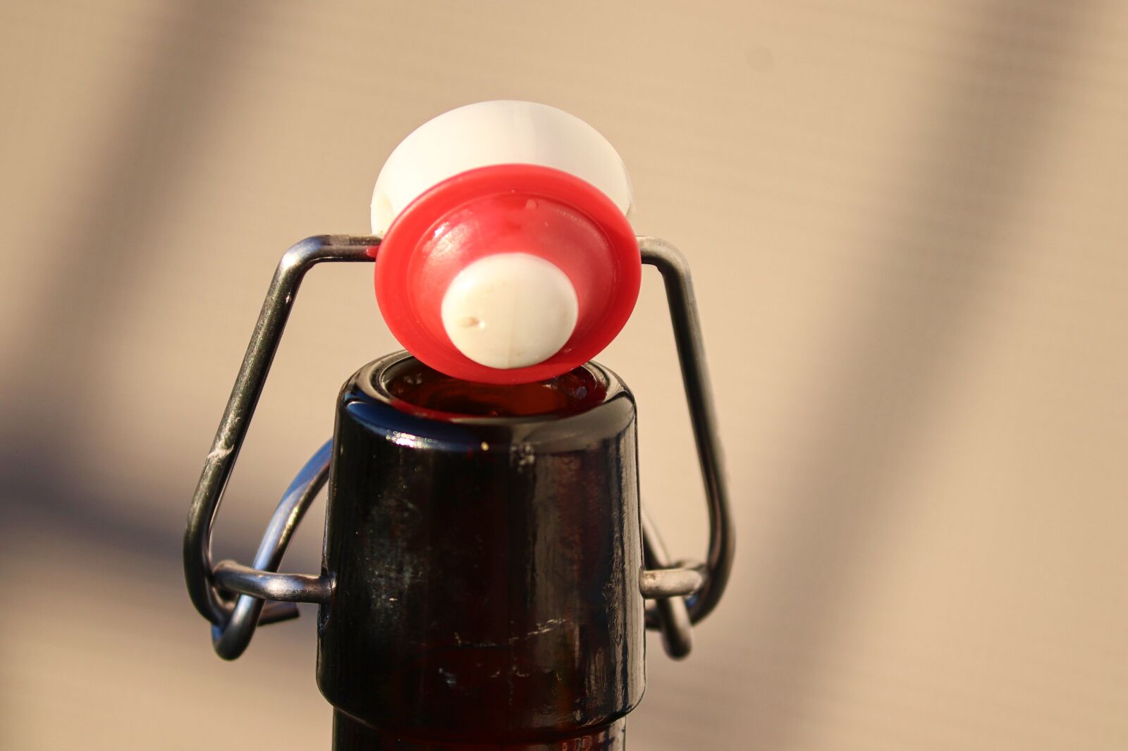 Canon EOS 200D (EOS Rebel SL2 / EOS Kiss X9) sample photo. Iron bottle, bottle strap photography