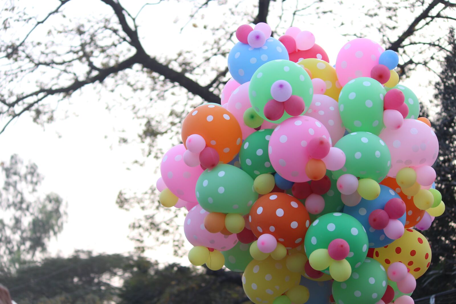 Canon EOS 700D (EOS Rebel T5i / EOS Kiss X7i) sample photo. Balloon, color, fun photography