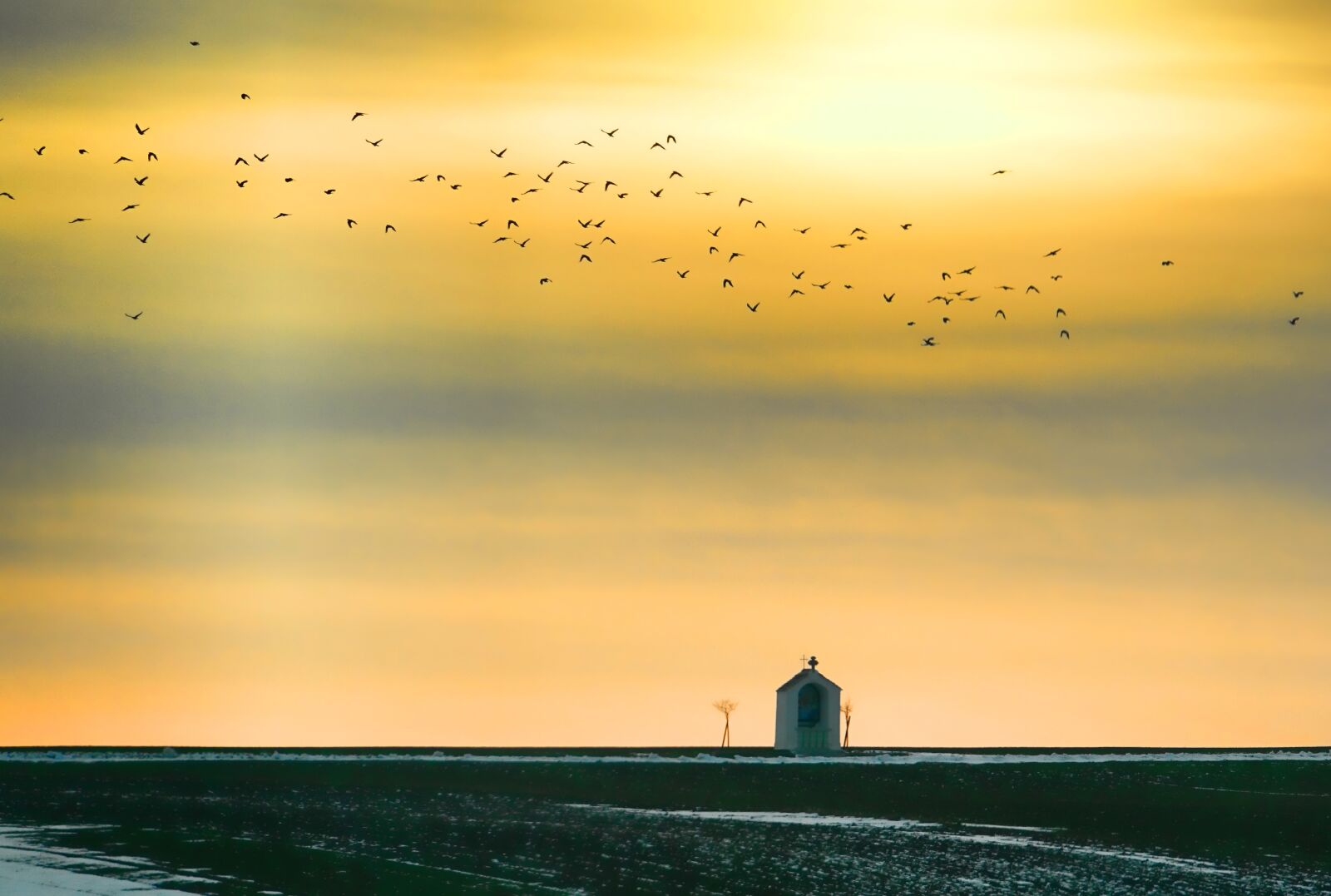 Sony Cyber-shot DSC-RX10 III sample photo. Sunset, flock of birds photography