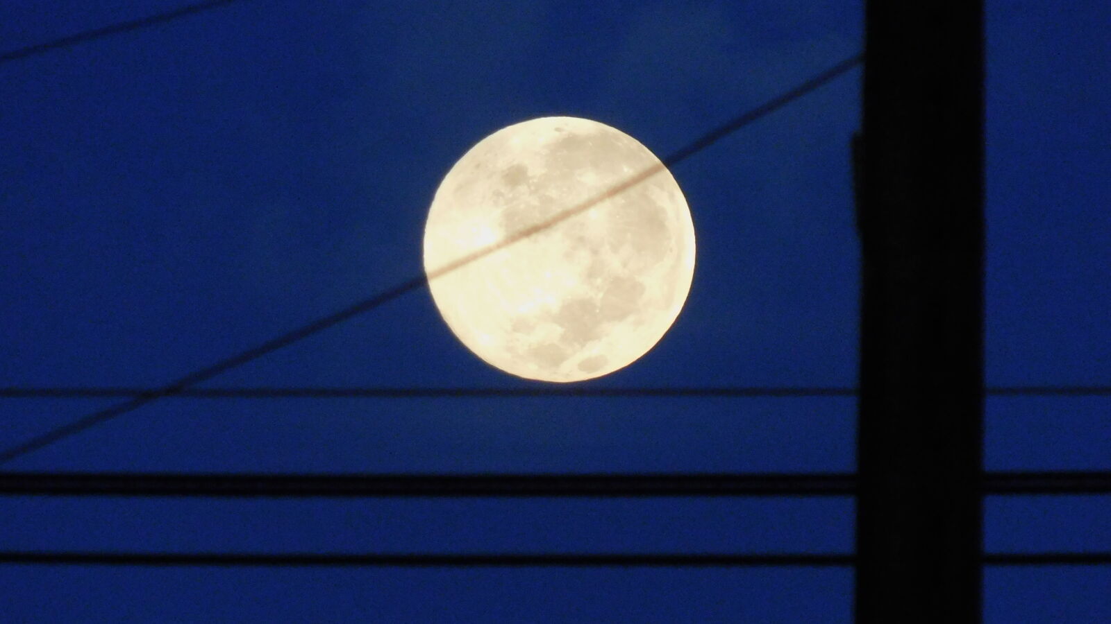Nikon Coolpix B500 sample photo
