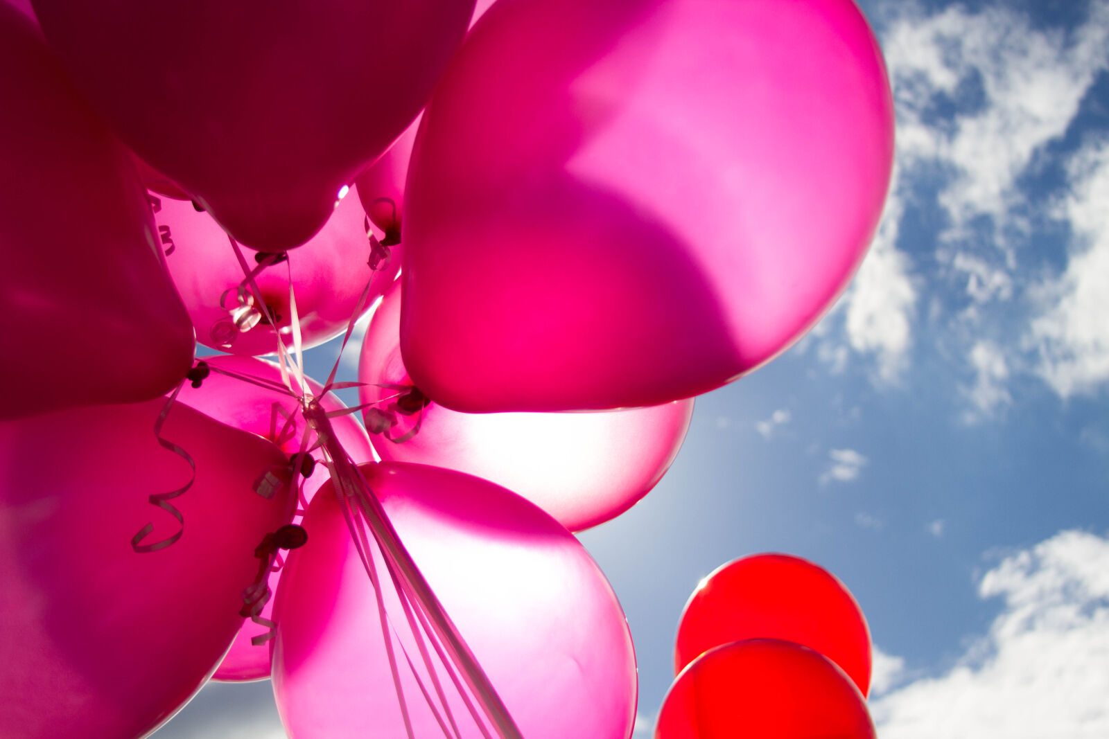 Canon EF 28-135mm F3.5-5.6 IS USM sample photo. Pink, and, red, balloons photography