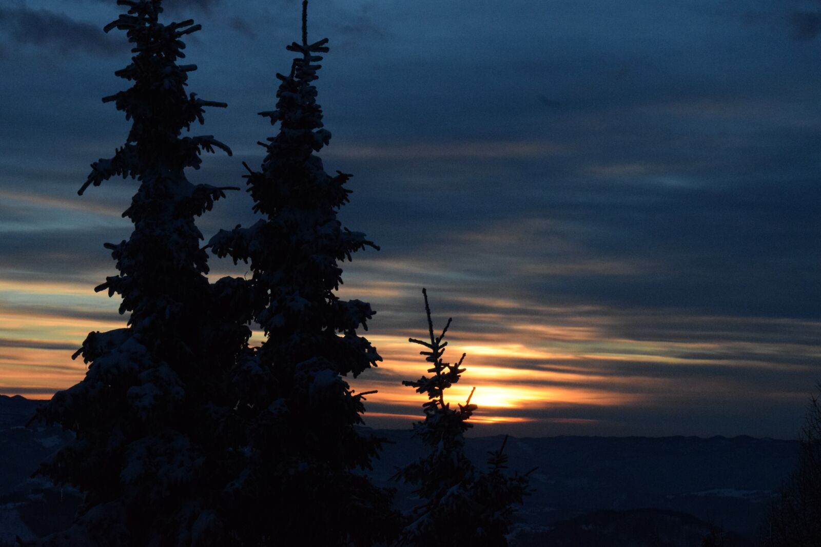Nikon D5300 sample photo. Winter, forest, snow photography