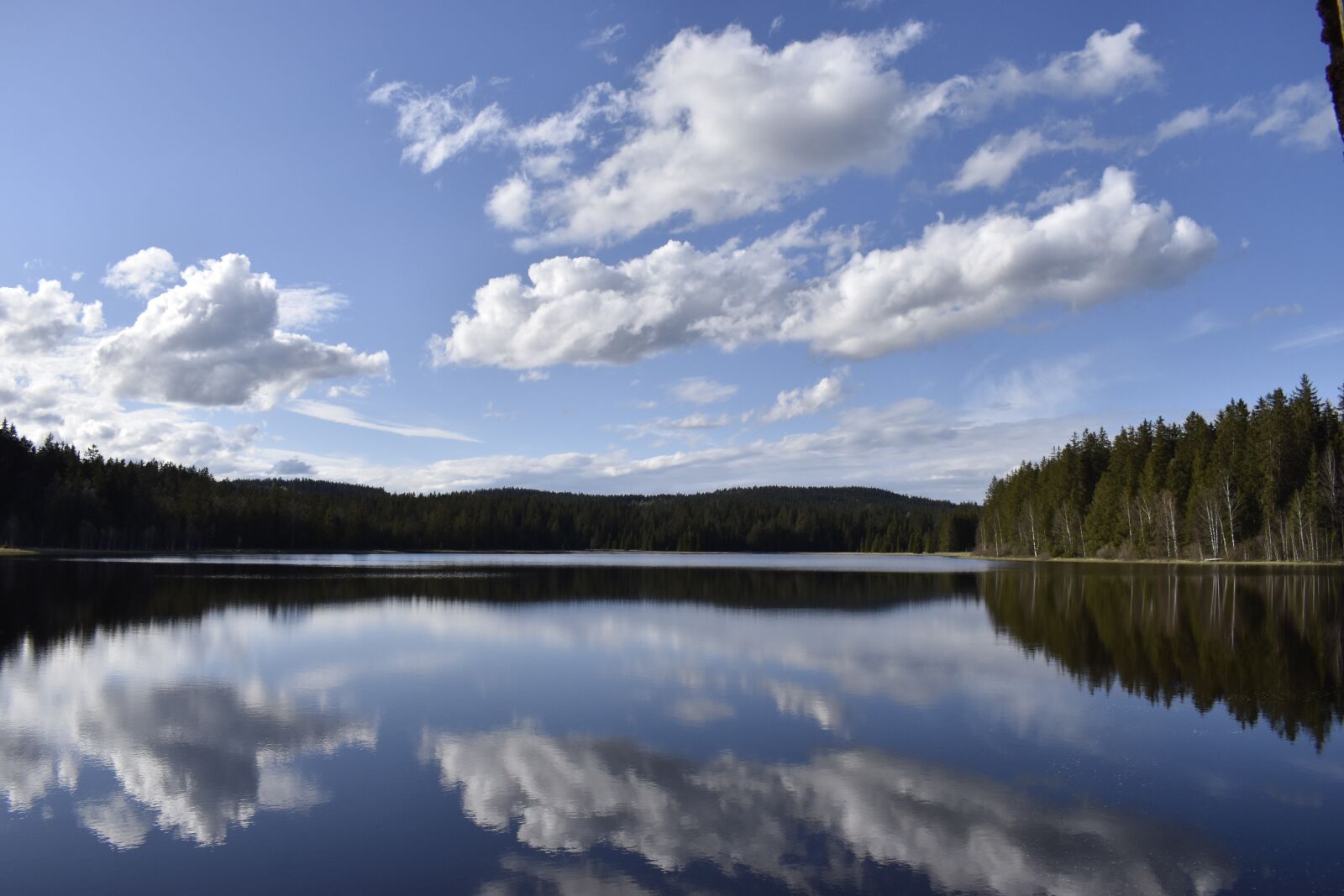 Nikon D3500 sample photo. Forest, lake, blue photography