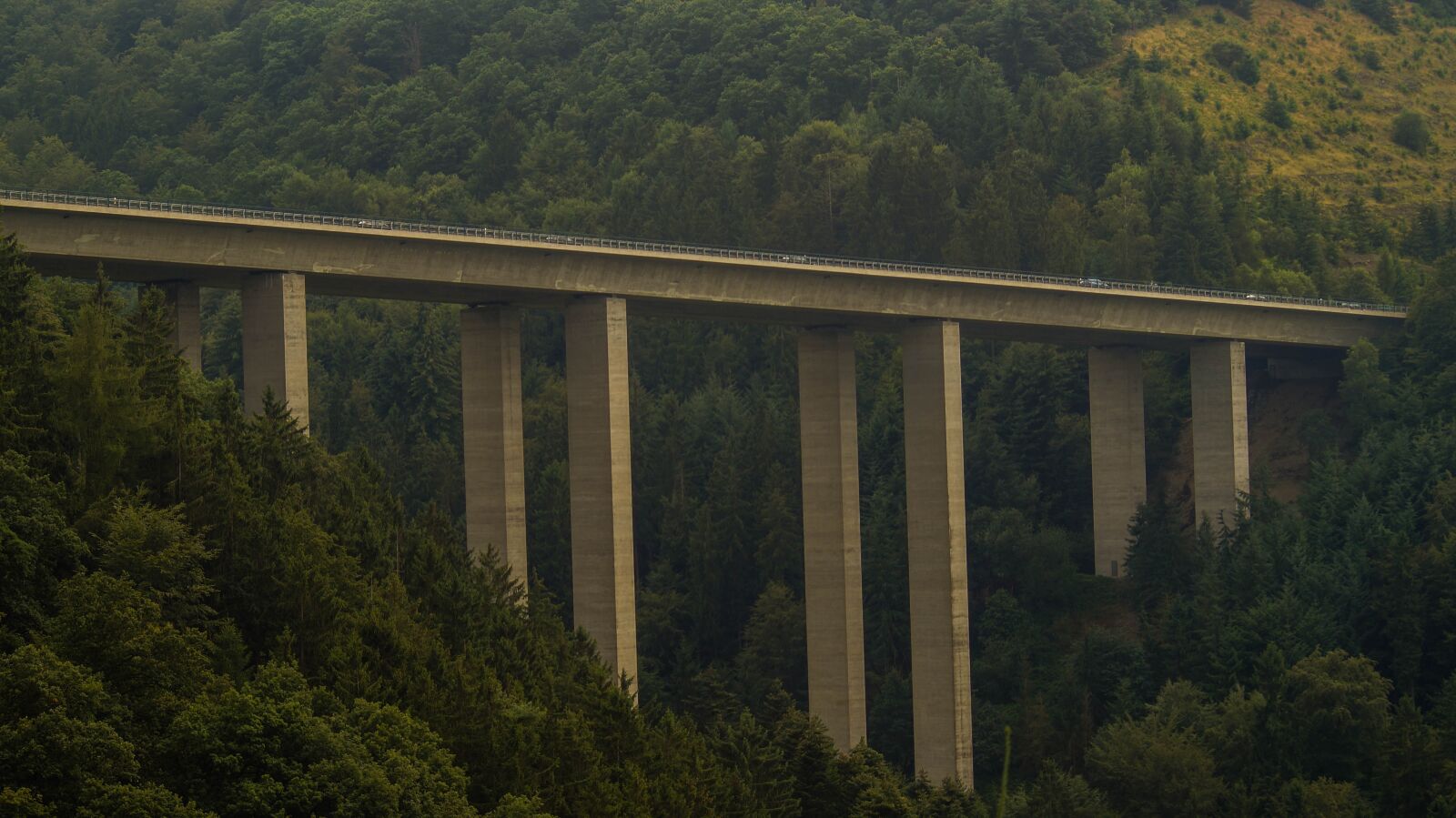 Sony SLT-A58 sample photo. Bridge, forest, scenic photography