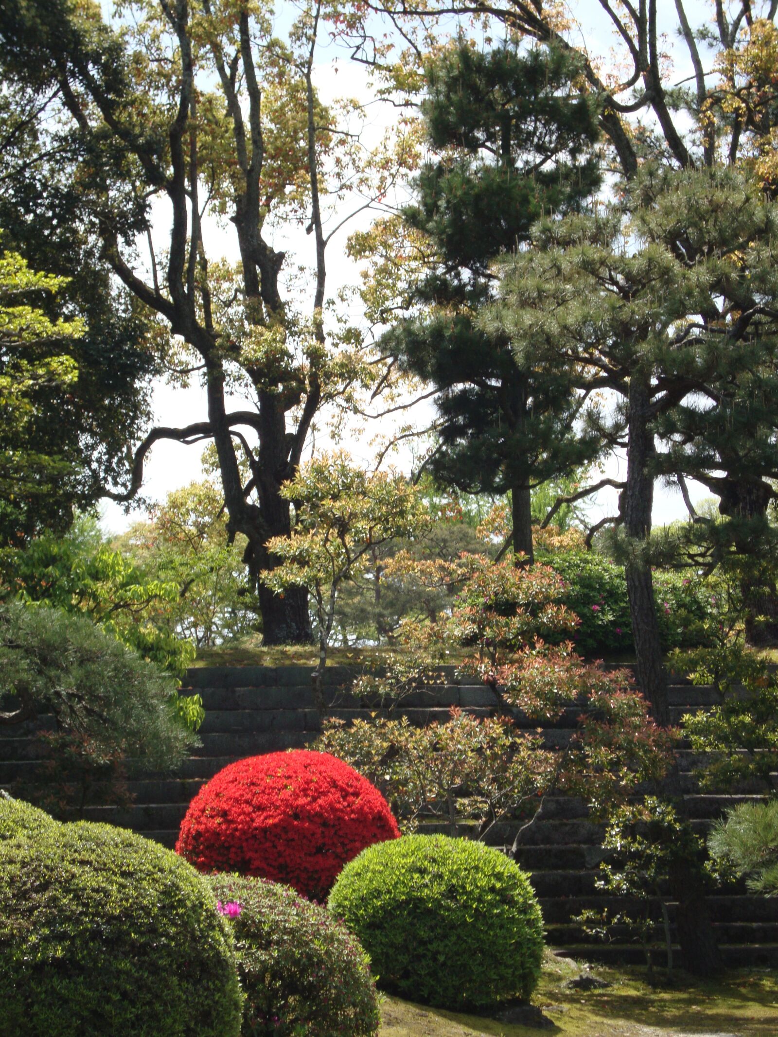 Sony Cyber-shot DSC-W220 sample photo. Garden, japanese garden, grove photography