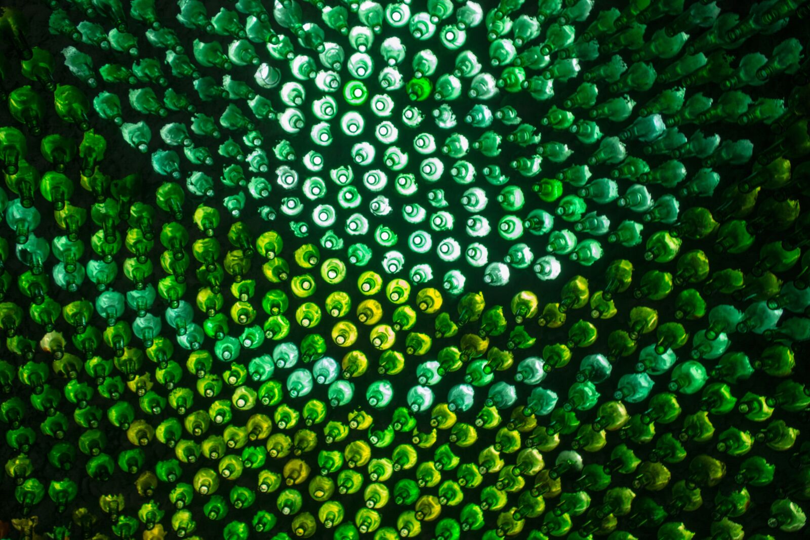 Nikon D5200 sample photo. Creative design, environmental protection photography
