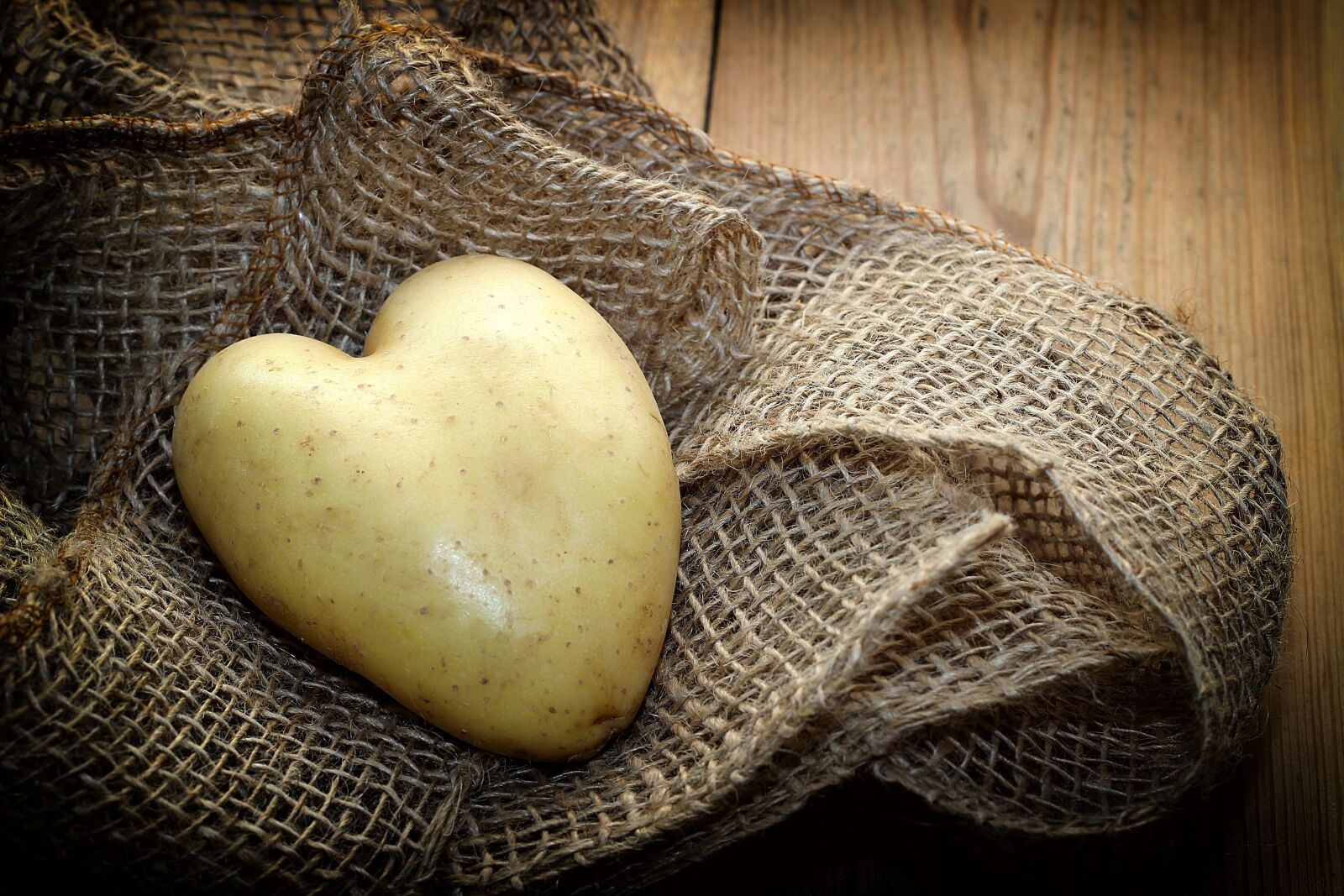 Canon EOS 600D (Rebel EOS T3i / EOS Kiss X5) + Canon EF 50mm F1.8 II sample photo. Potato, heart, fabric photography