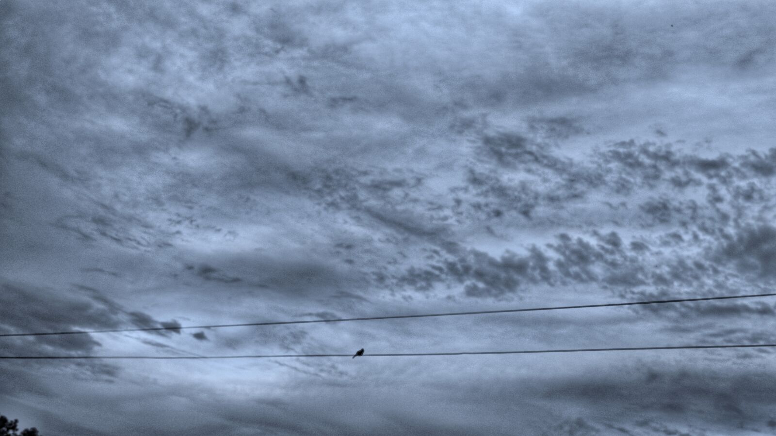 Fujifilm X-T200 sample photo. Sky, bird, alone photography