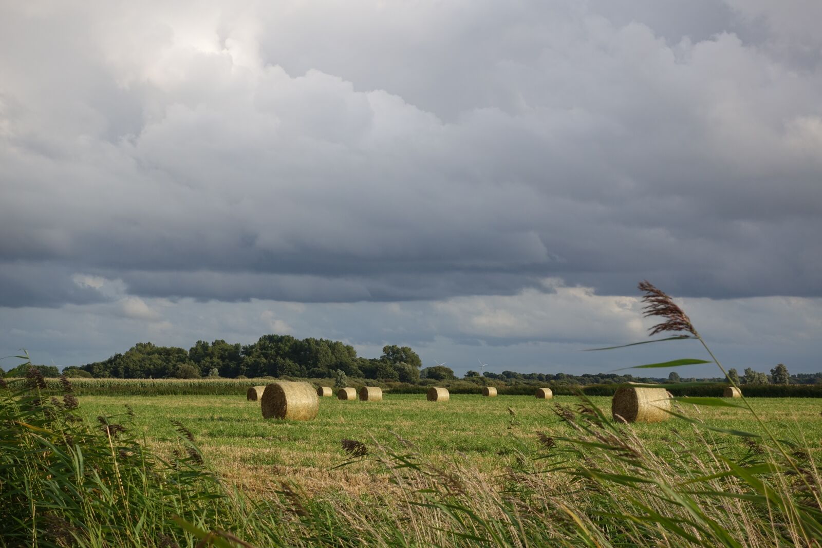 Sony Cyber-shot DSC-RX100 IV sample photo. Cultural landscape, hay bales photography