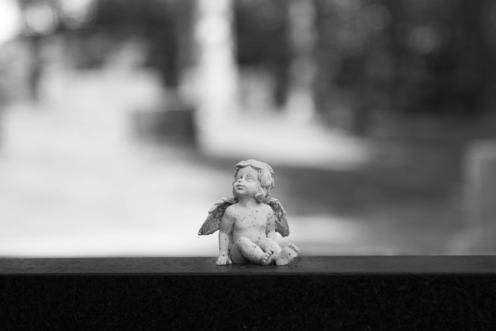 Canon EOS 70D + Canon EF 24-105mm F4L IS USM sample photo. Grayscale, cemetery, statue photography