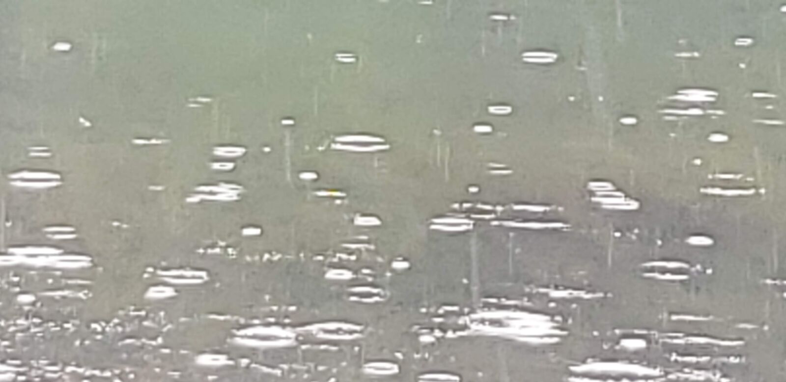 Samsung Galaxy S9+ sample photo. Raindrops, rain, water photography