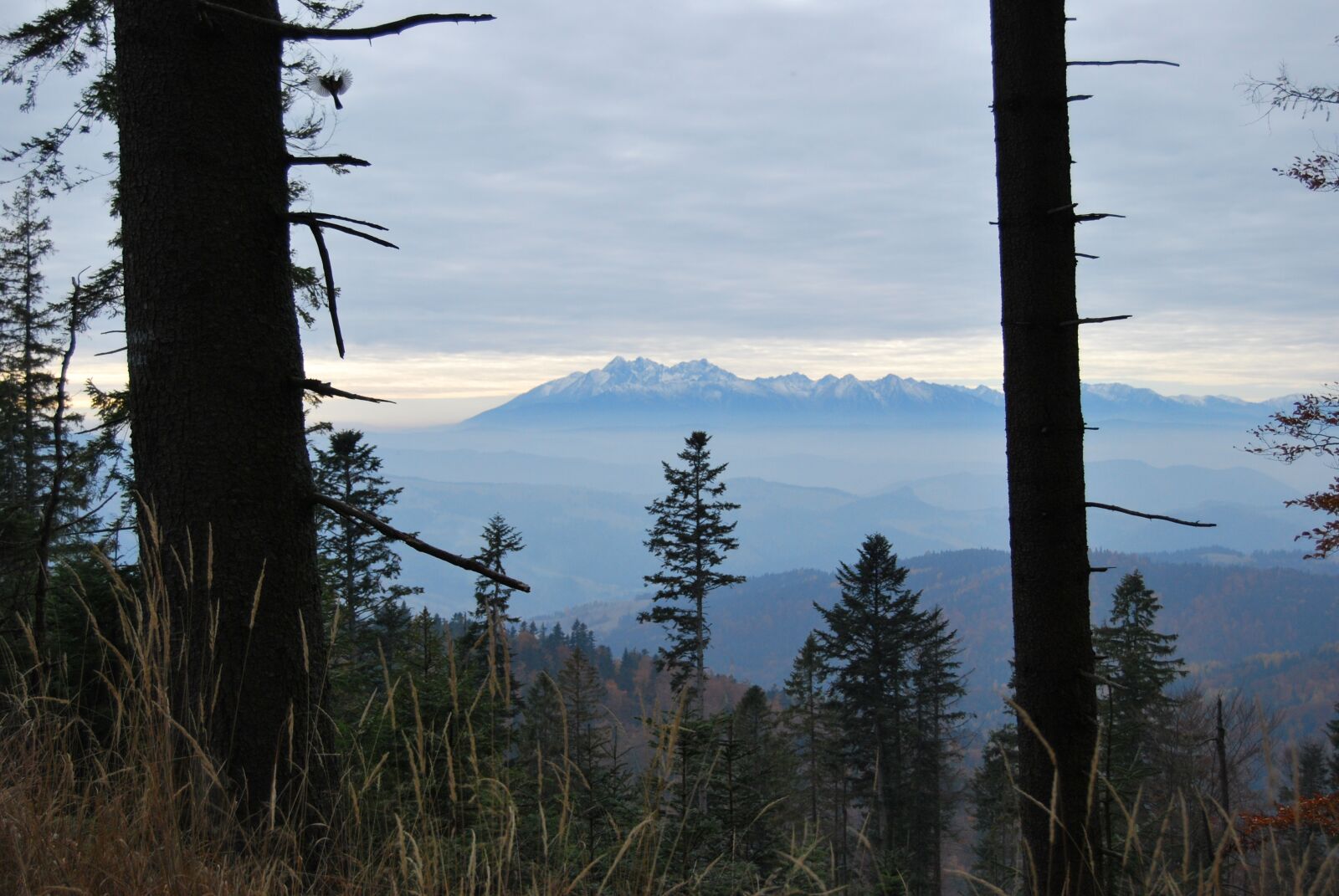 Nikon D60 sample photo. Mountains, tatry, nature photography