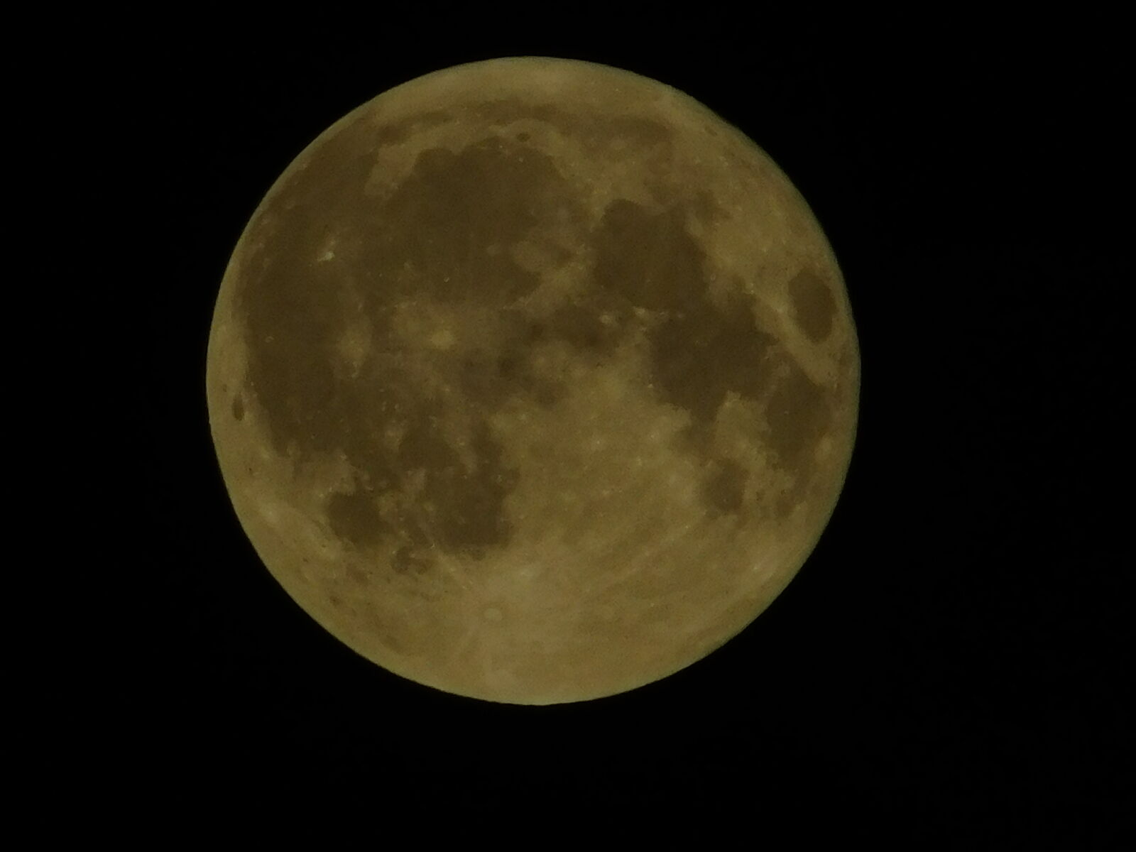 Nikon Coolpix L840 sample photo