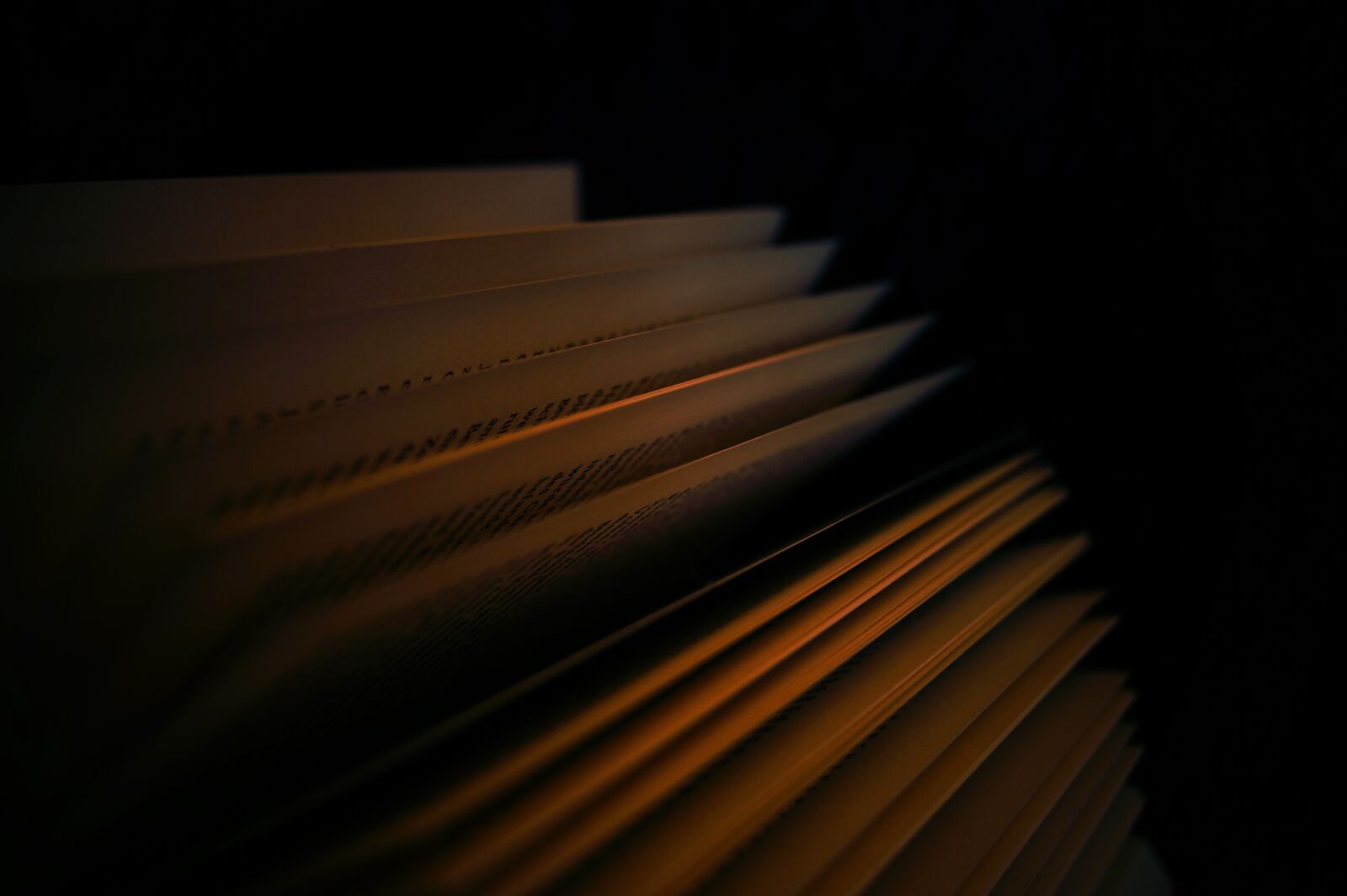 Sony DT 18-55mm F3.5-5.6 SAM II sample photo. Dark, gloomy, books photography