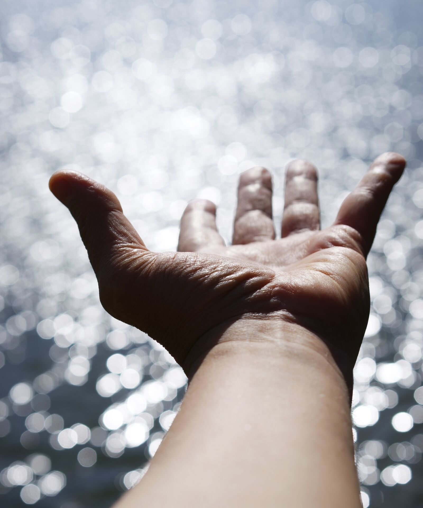 Nikon D5300 sample photo. Hand, left, fingers photography
