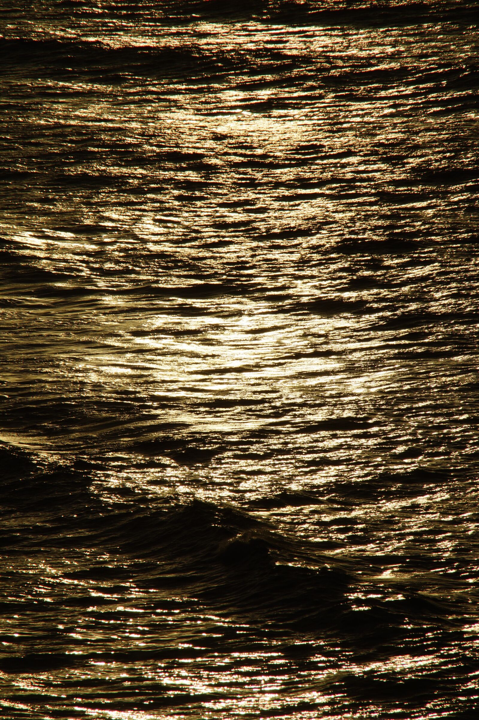 Sony SLT-A58 sample photo. Structure, texture, background photography