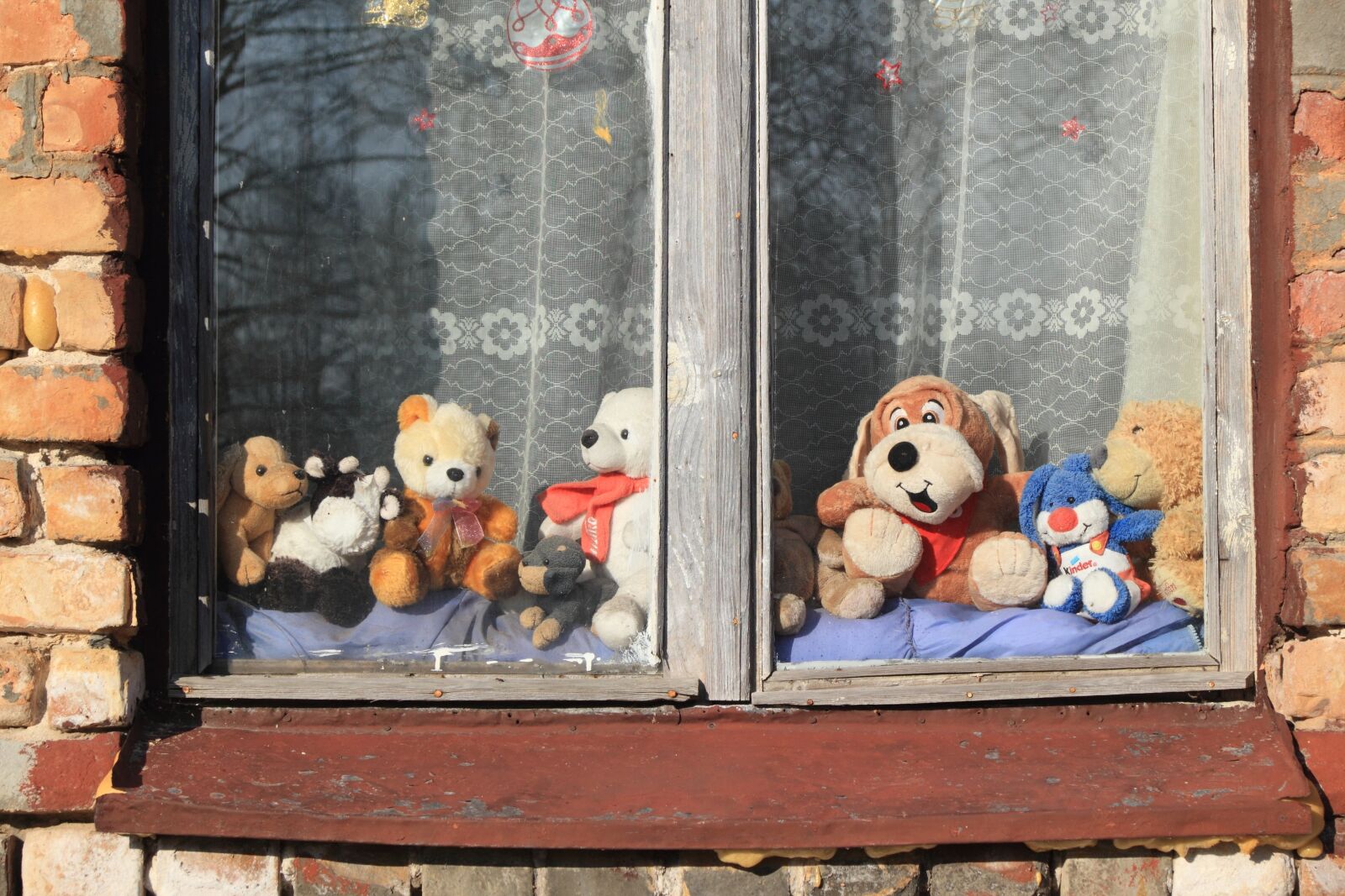 Canon EOS 550D (EOS Rebel T2i / EOS Kiss X4) sample photo. Window, toys, animals photography
