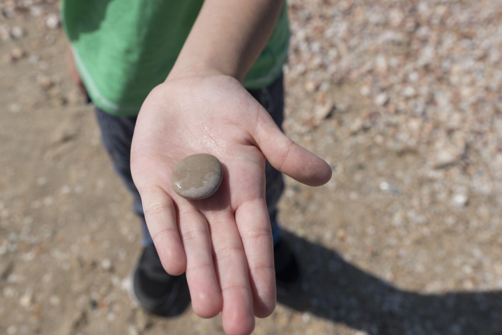 Tamron SP 24-70mm F2.8 Di VC USD sample photo. Sea, stone, hand photography